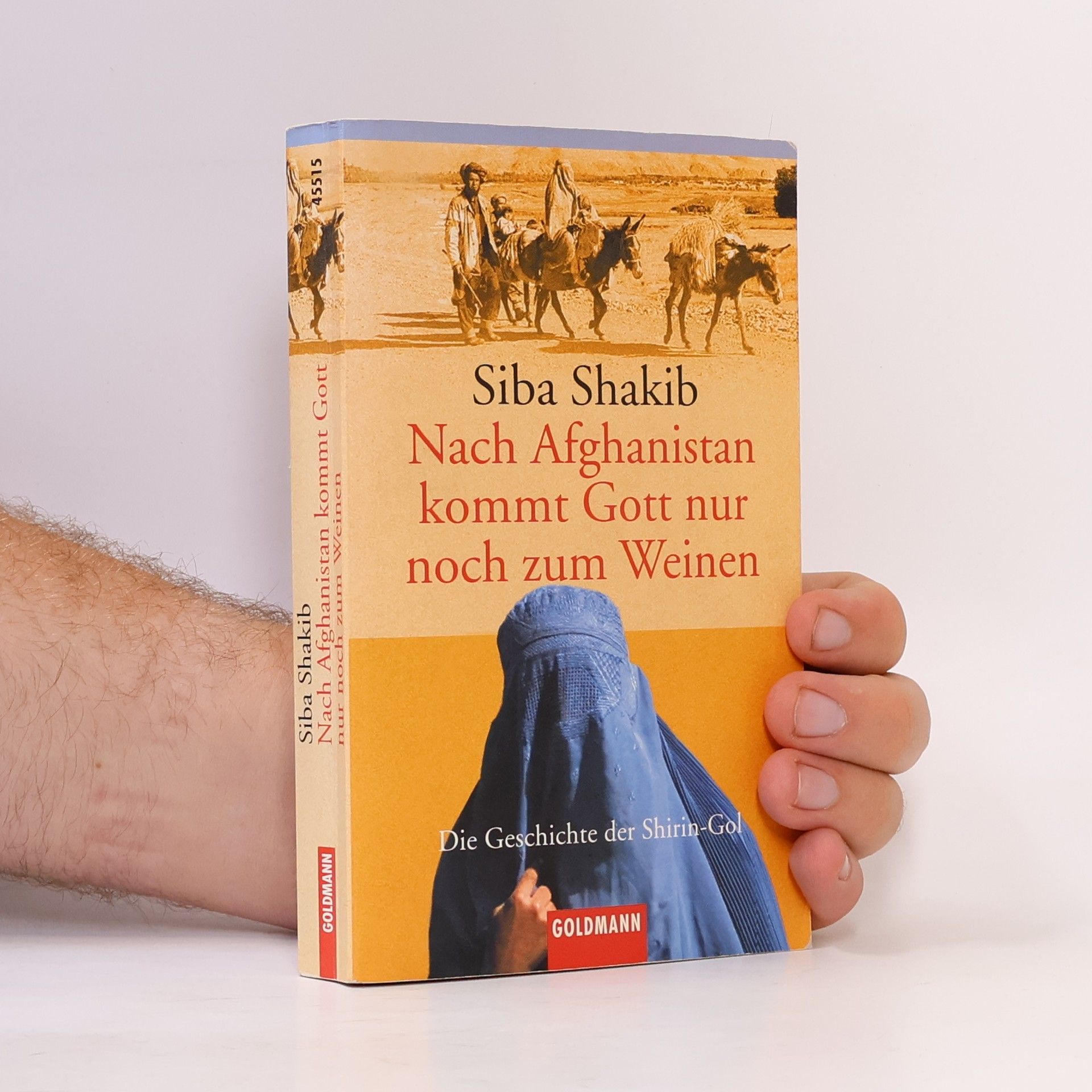 Síba Shakib Nach Afghanistan kommt Gott nur noch zum Weinen