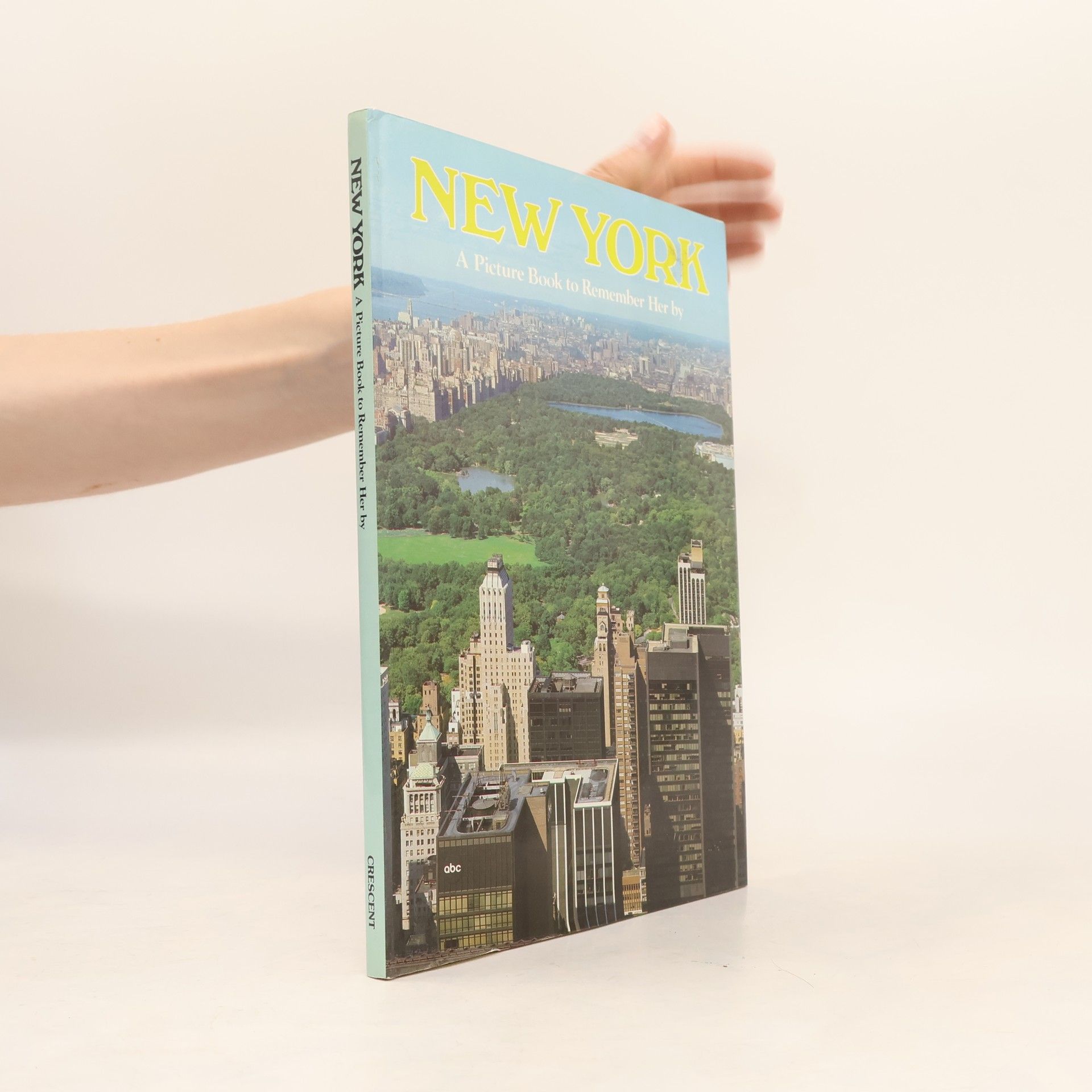 New York : A Picture Book to Remember Her by