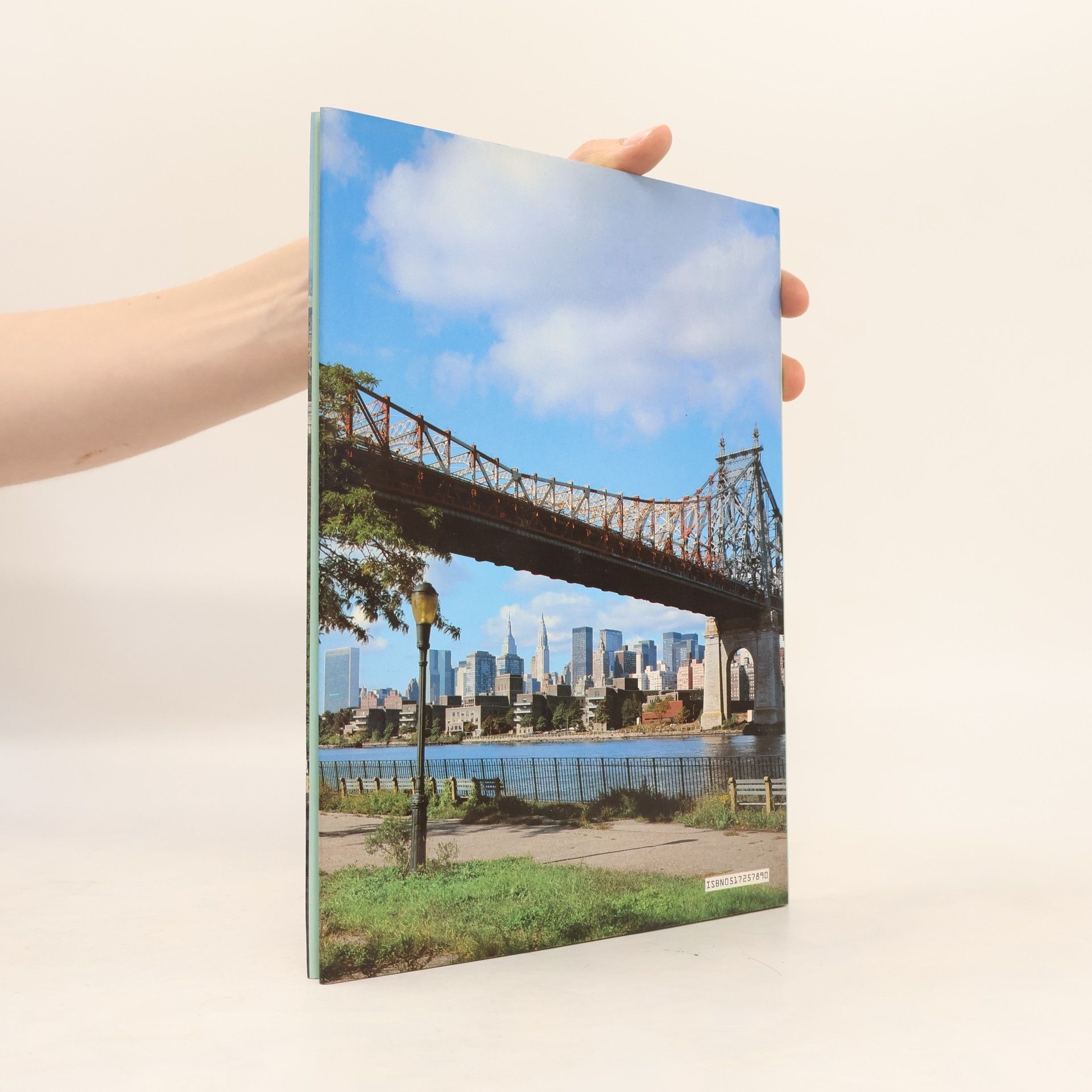 Auteurscollectief New York : A Picture Book to Remember Her by