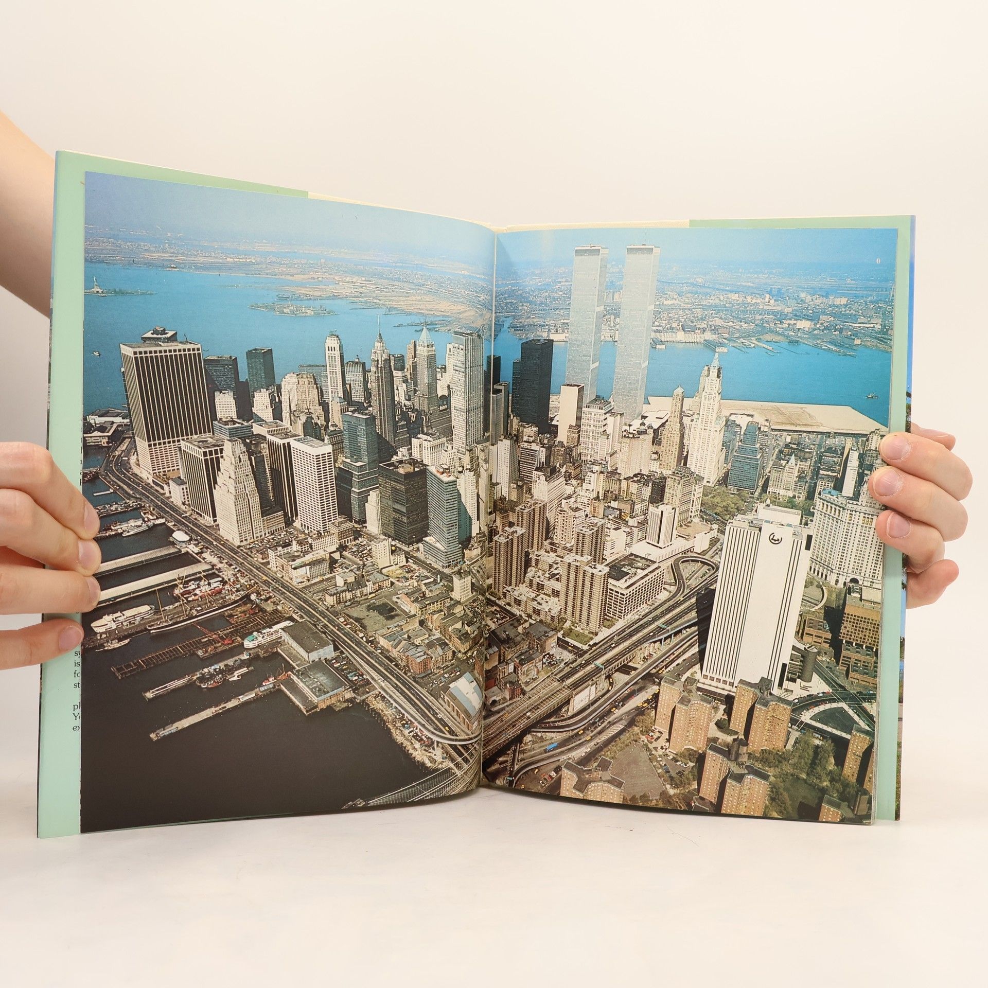 Auteurscollectief New York : A Picture Book to Remember Her by