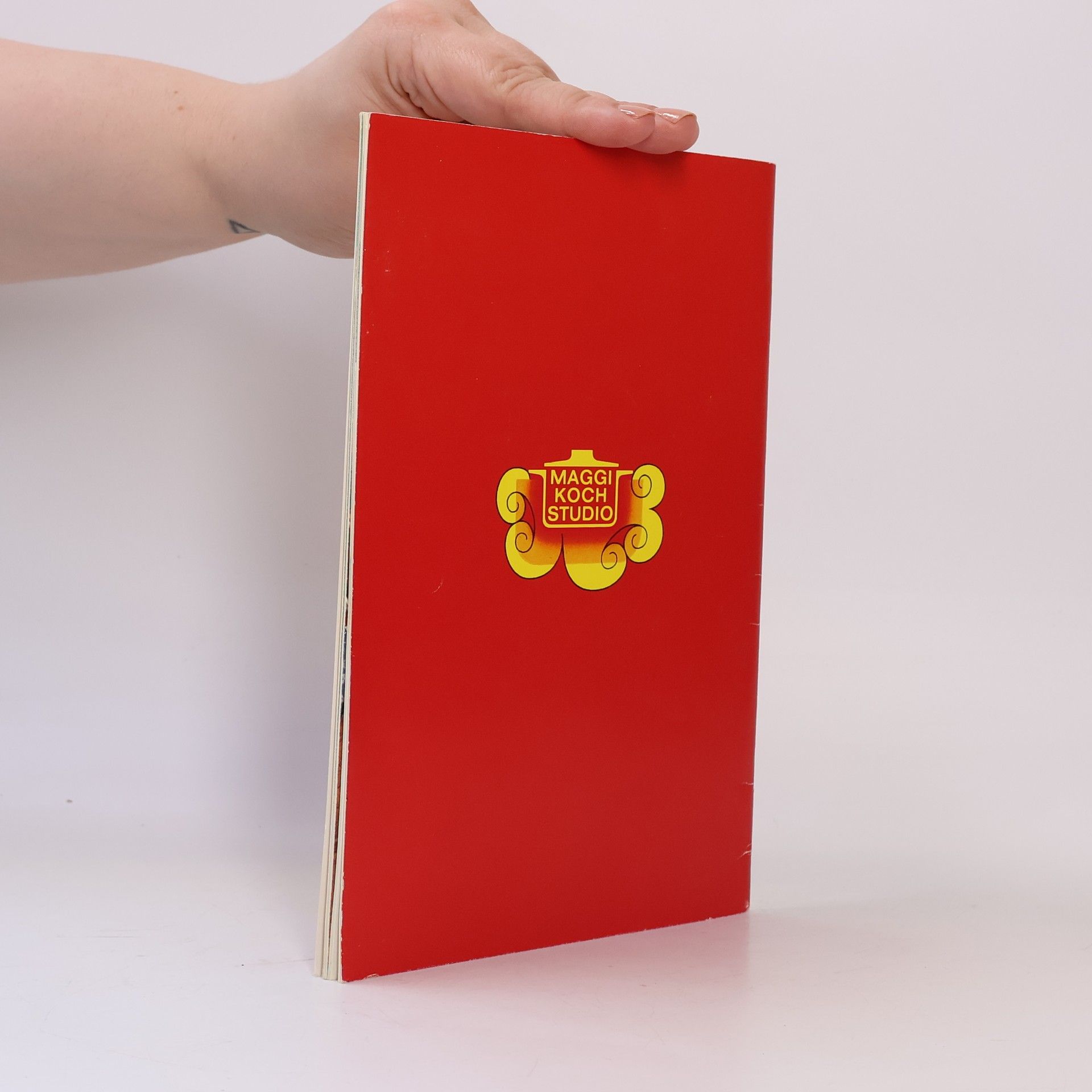 Various authors Fixe Helfer für Fleischgerichte