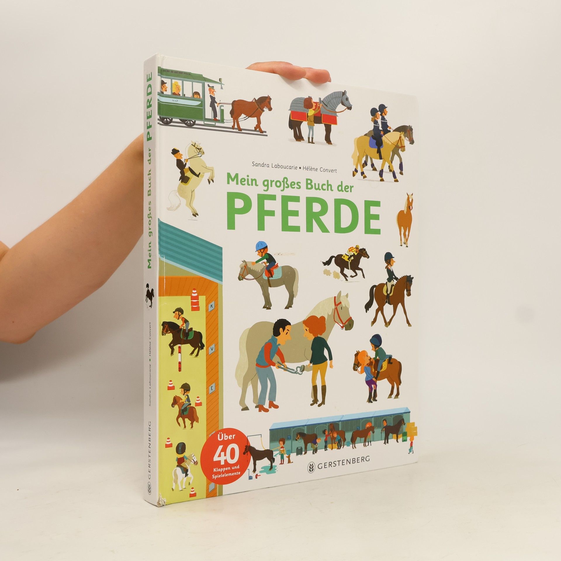 Sandra Laboucarie Mein großes Buch der Pferde