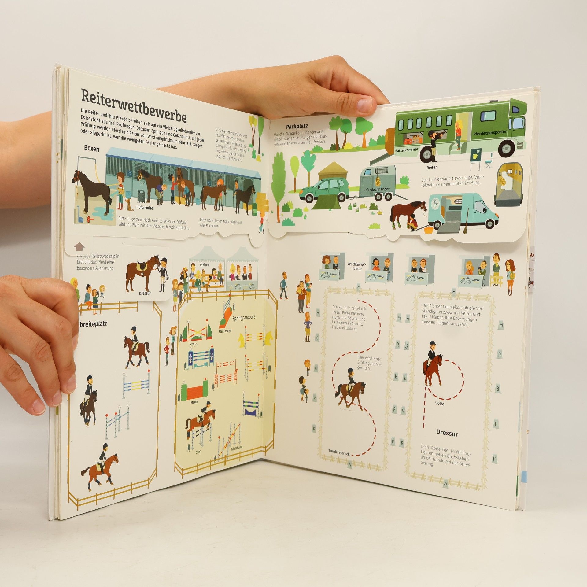 Sandra Laboucarie Mein großes Buch der Pferde