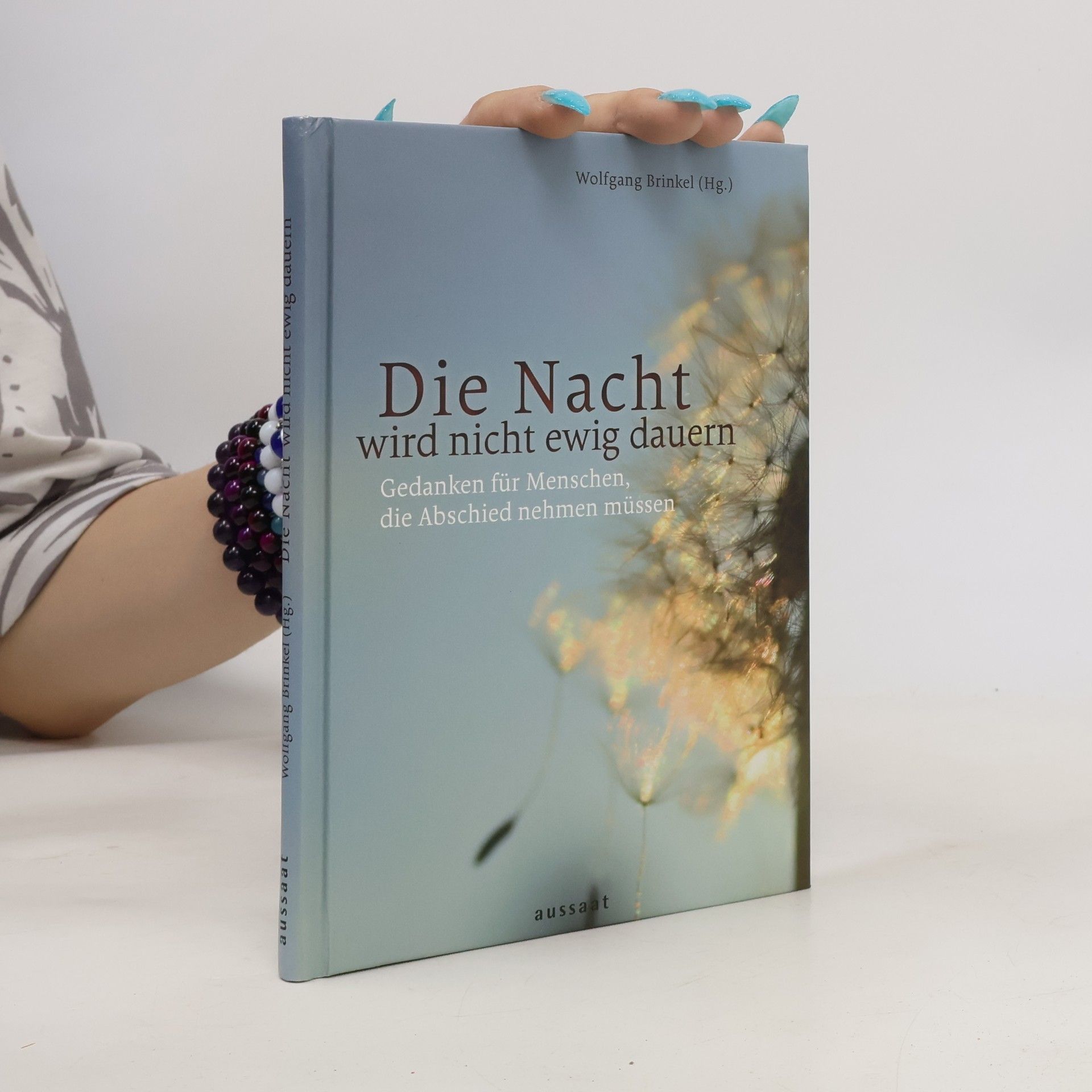 Wolfgang Brinkel Die Nacht wird nicht ewig dauern