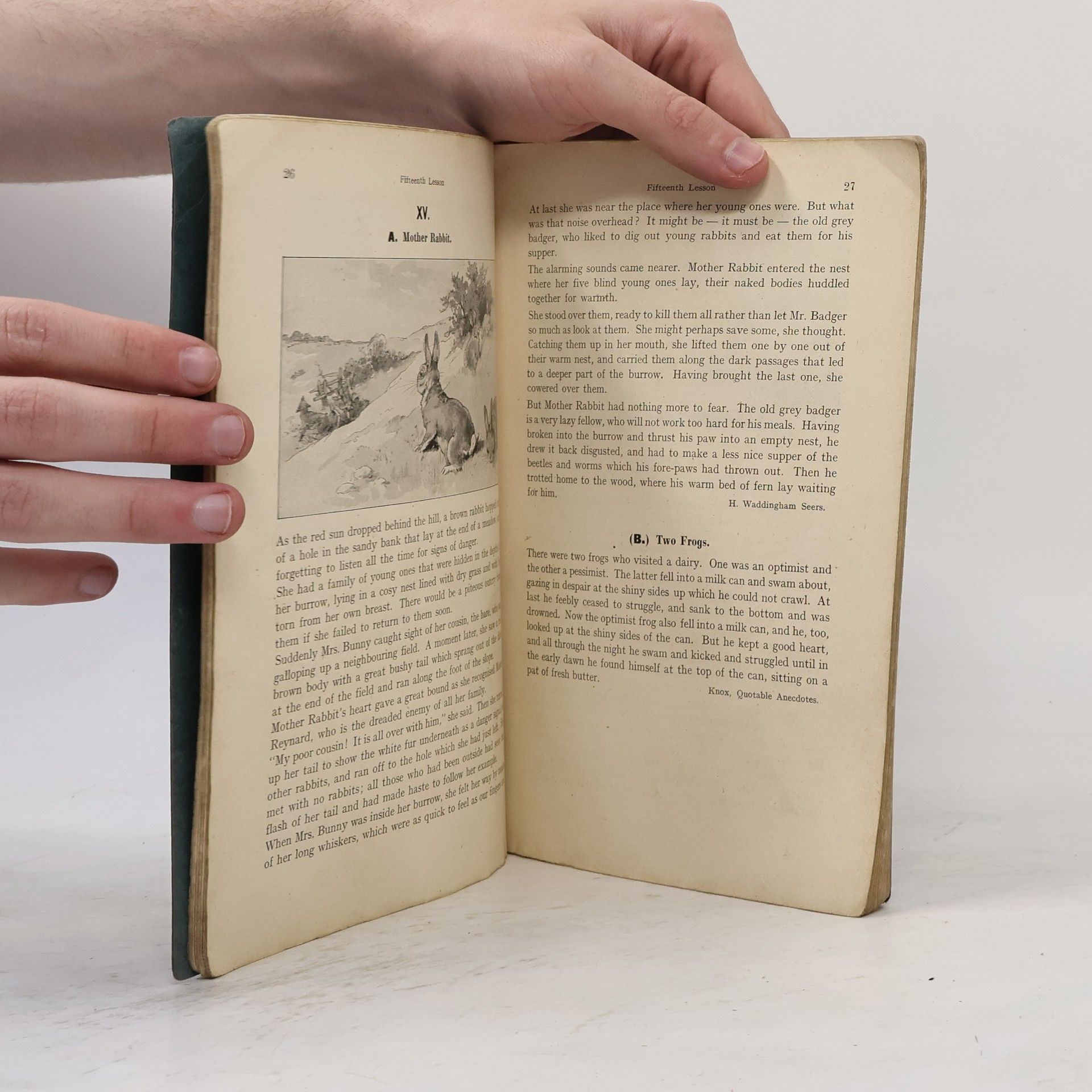 Collectif d'auteurs Learning English. Grundbuch