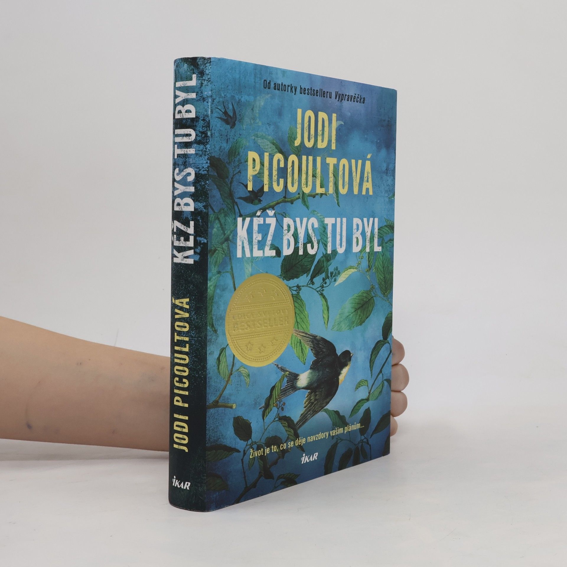 Marcela Nejedlá Kéž bys tu byl