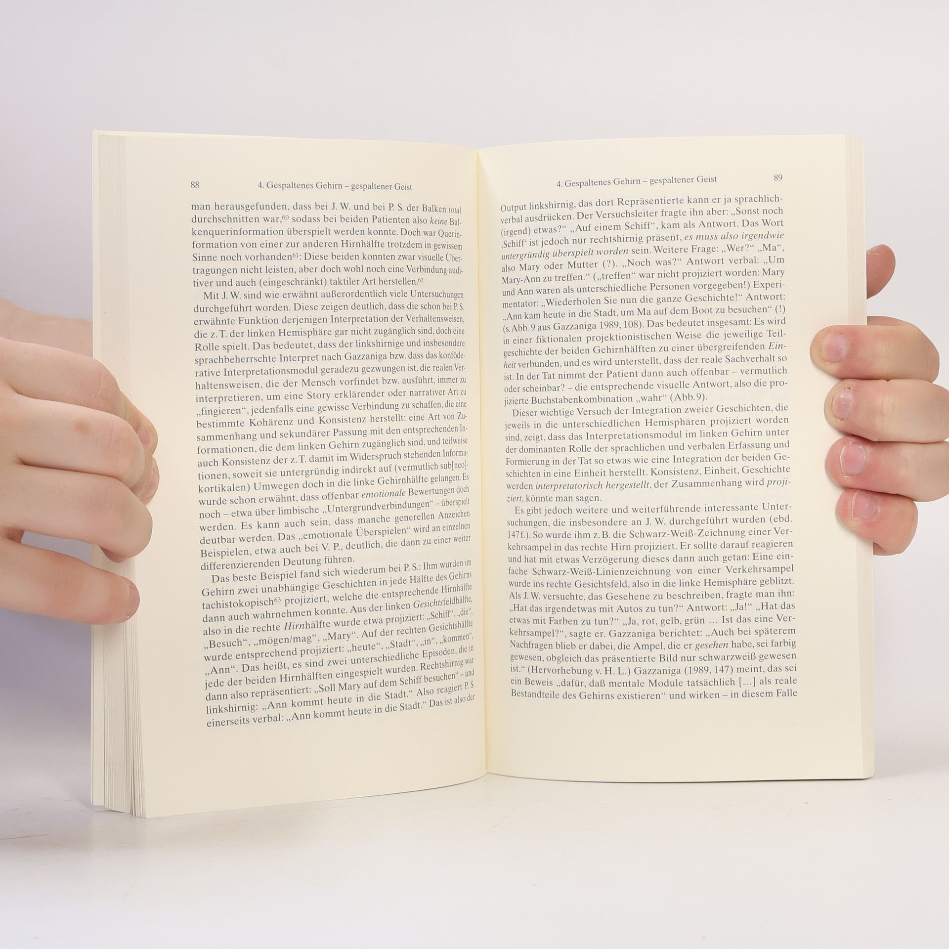 Hans Lenk Kleine Philosophie des Gehirns