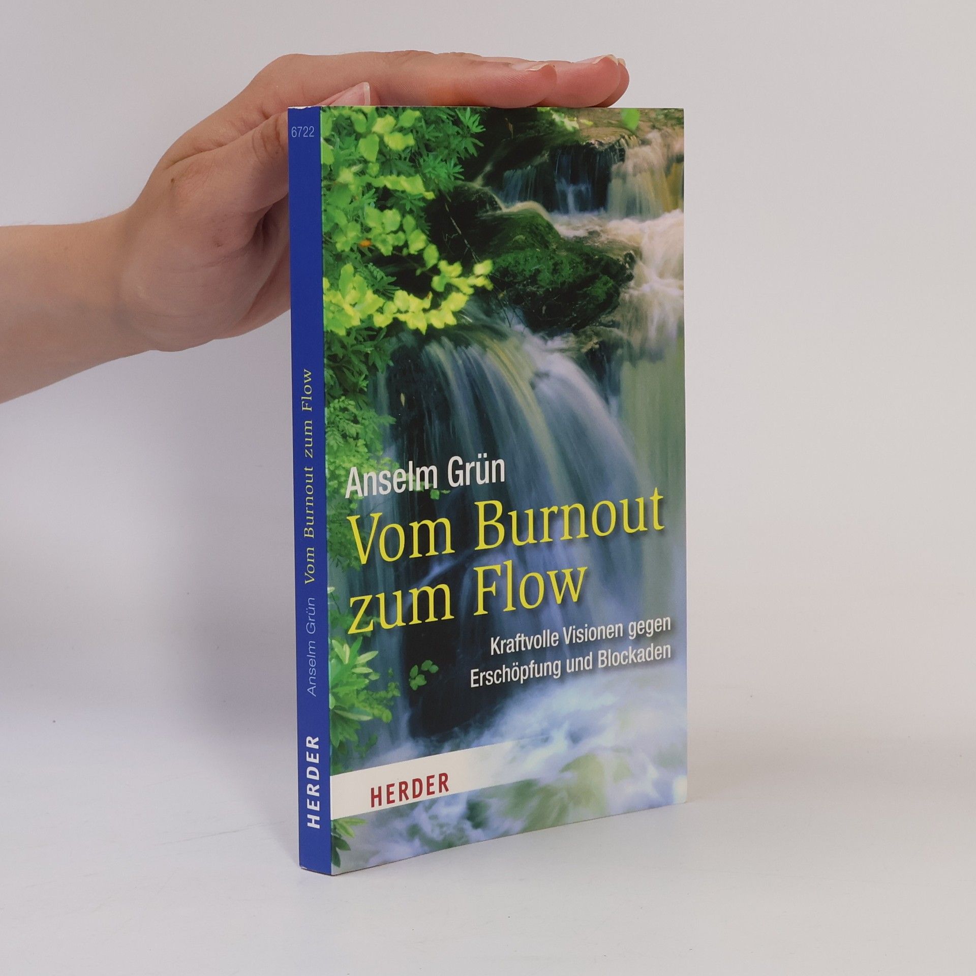 Anselm Grün HERDER Spektrum: Vom Burnout zum Flow