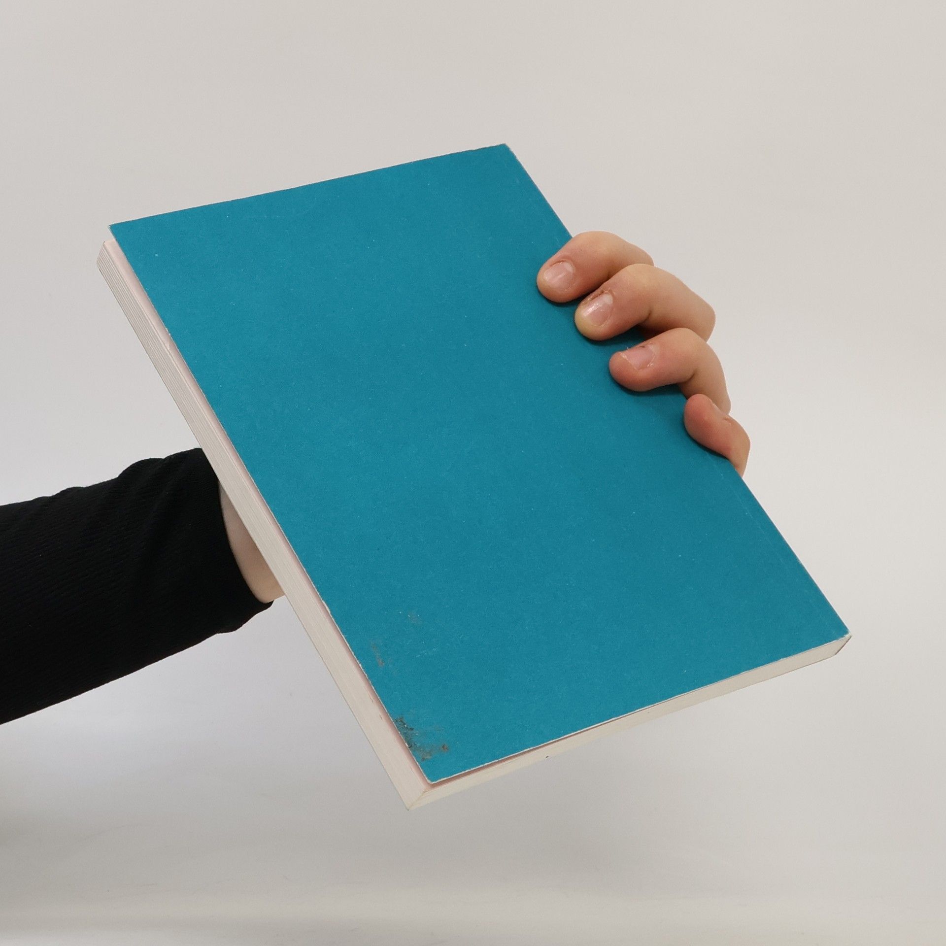 Various authors Podoba a smysl malby v současném umění