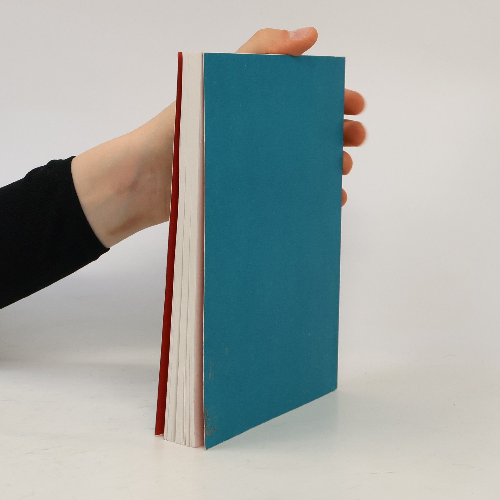 Various authors Podoba a smysl malby v současném umění
