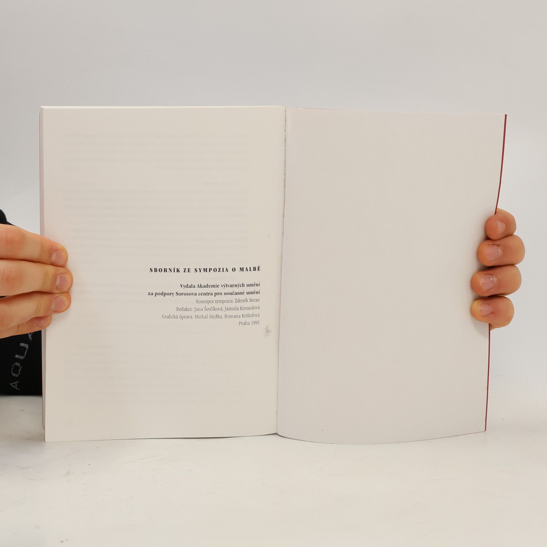 Various authors Podoba a smysl malby v současném umění