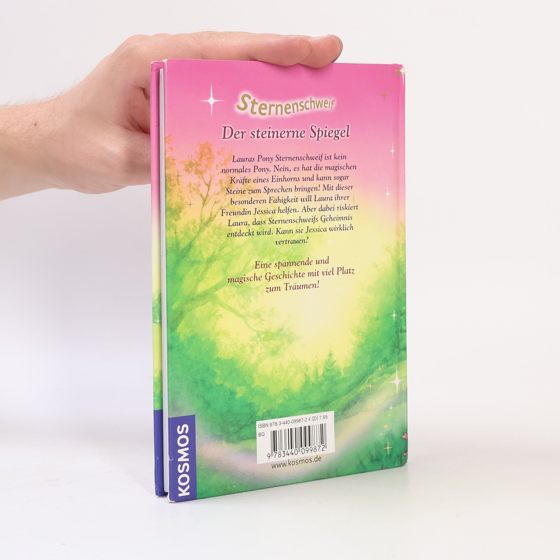 Linda Champan Sternenschweif: Der steinerne Spiegel
