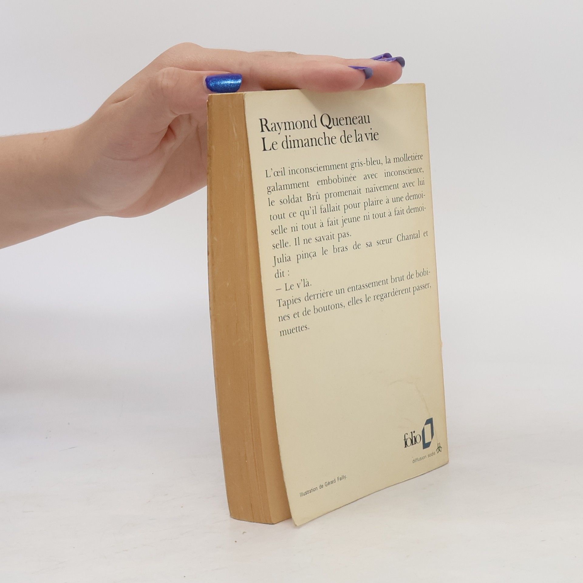 Autorenkollektiv Le Dimanche de la vie de Raymond Queneau