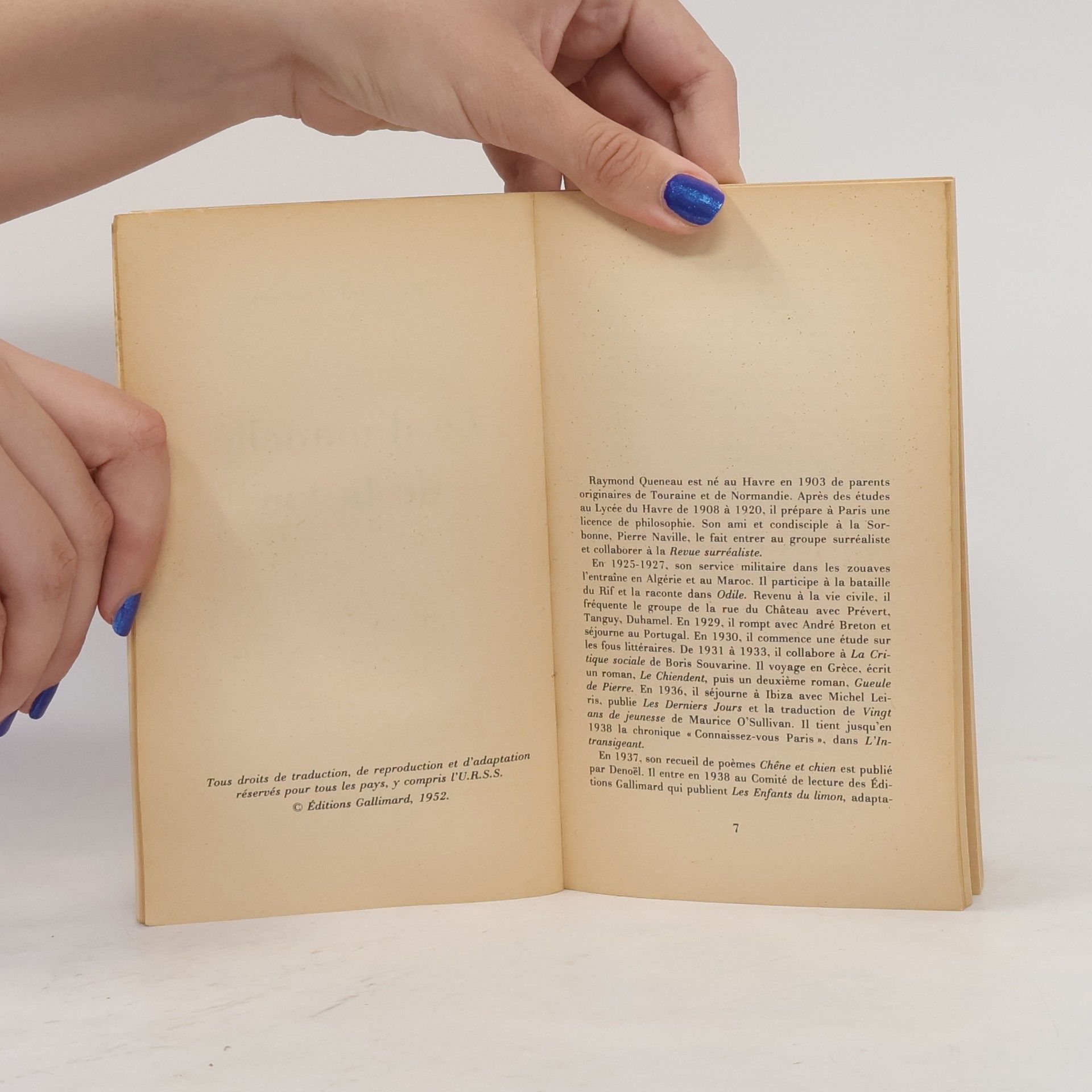 Autorenkollektiv Le Dimanche de la vie de Raymond Queneau