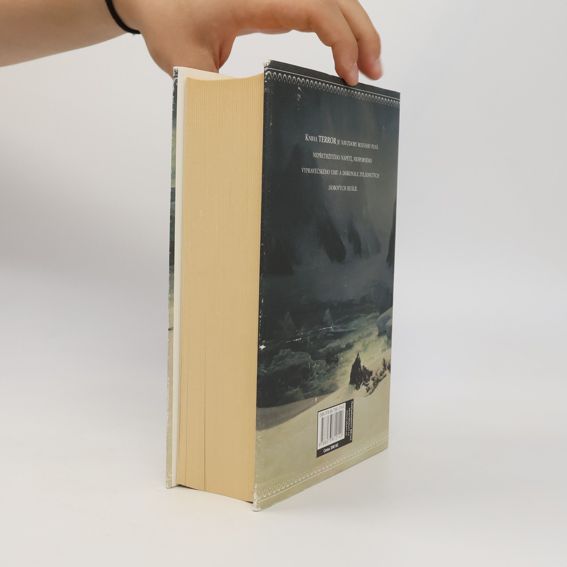 Dan Simmons Terror