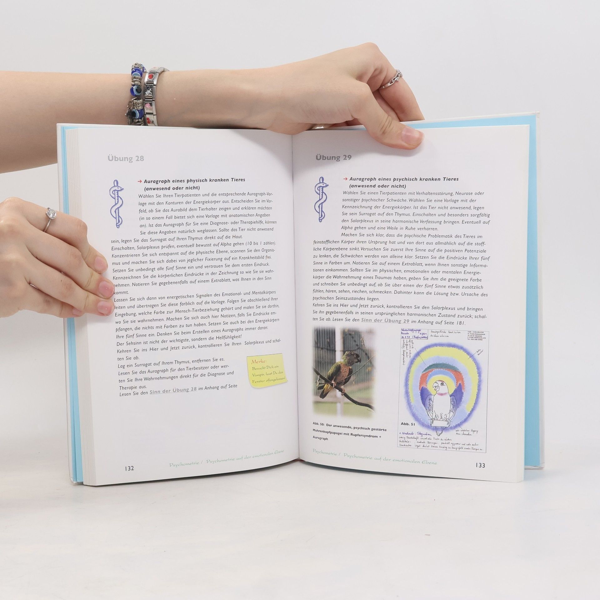 Rosina Sonnenschmidt Das grosse Praxisbuch der englischen Psychometrie