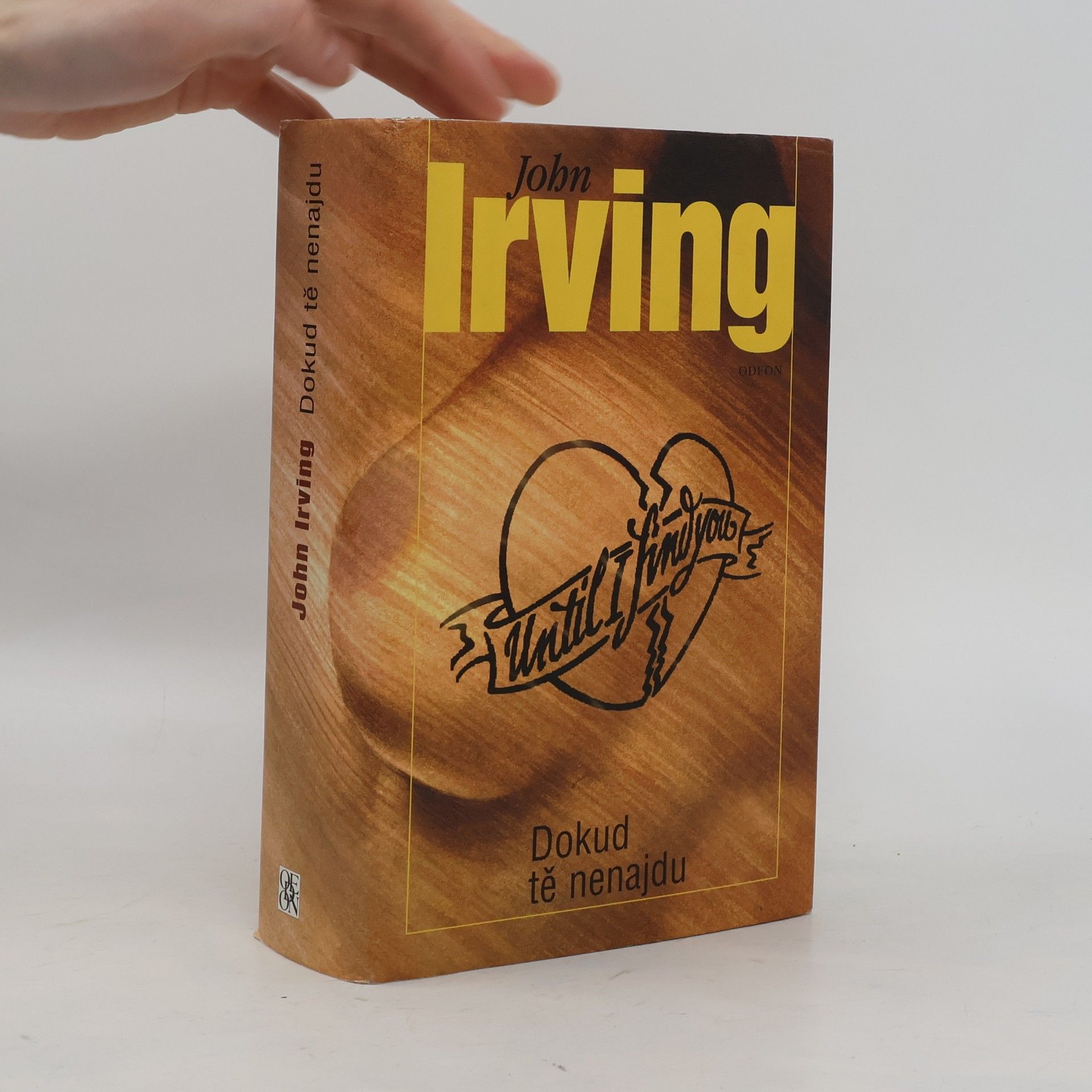 John Irving Dokud tě nenajdu