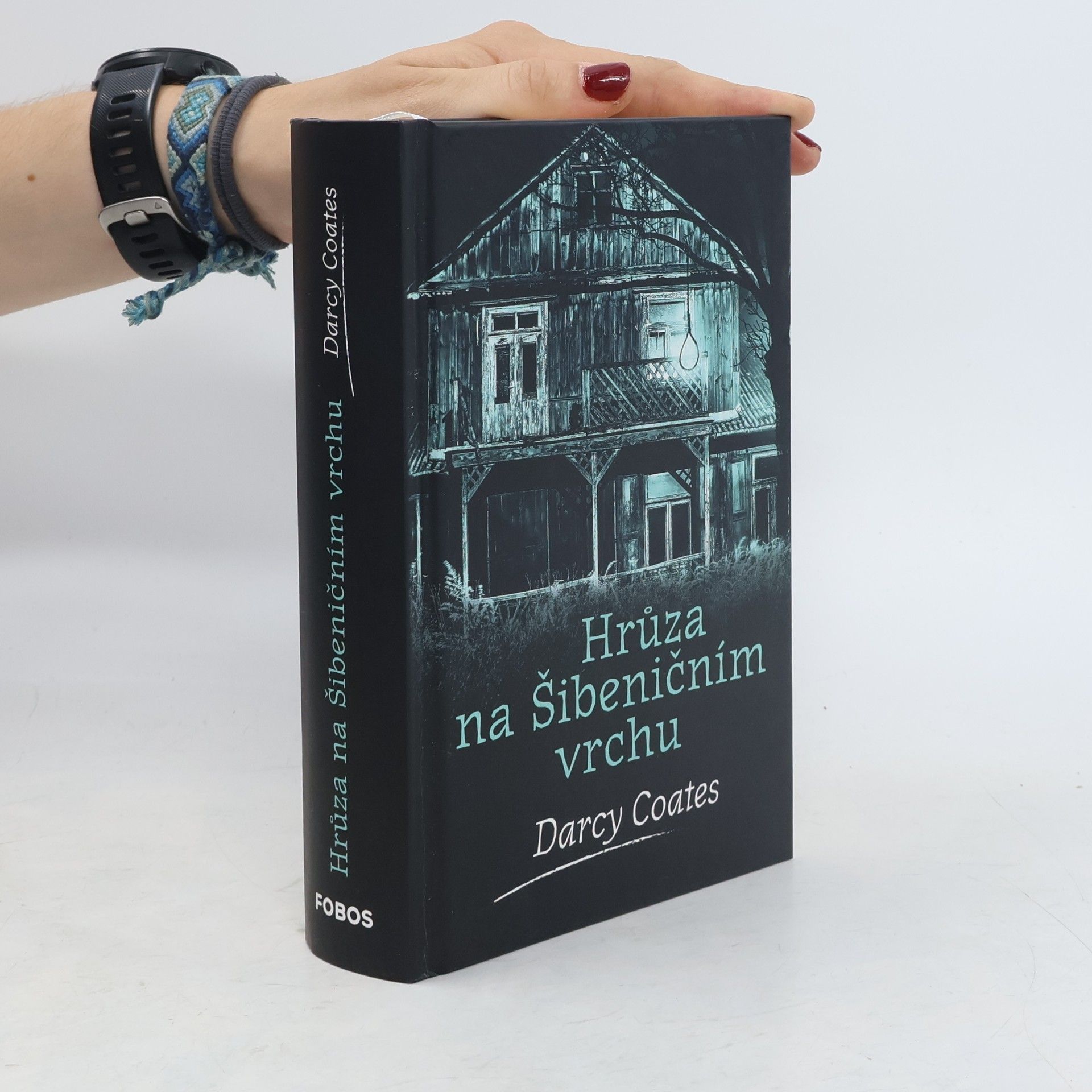 Darcy Coates Hrůza na Šibeničním vrchu