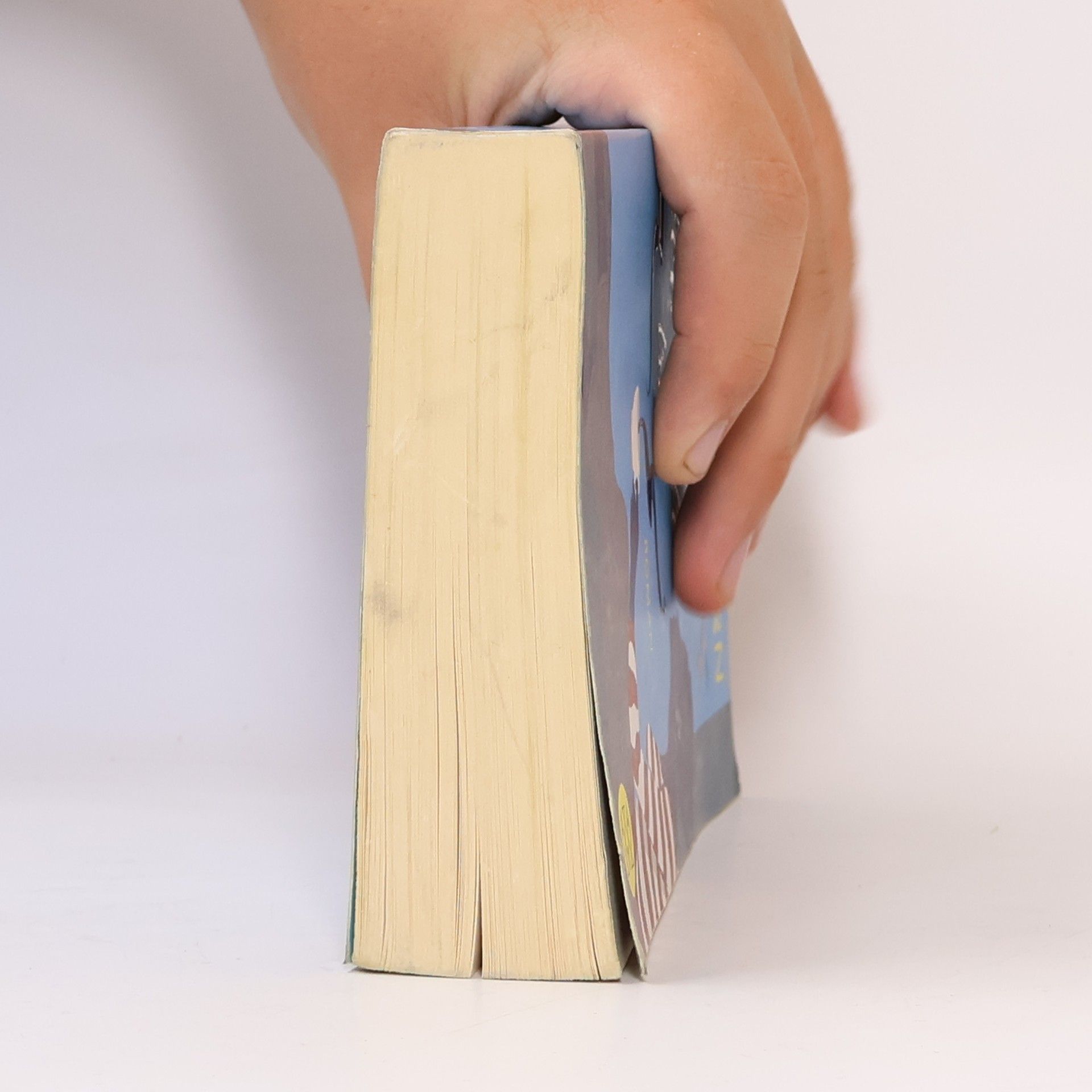 Cecelia Ahern Das Jahr, in dem ich dich traf