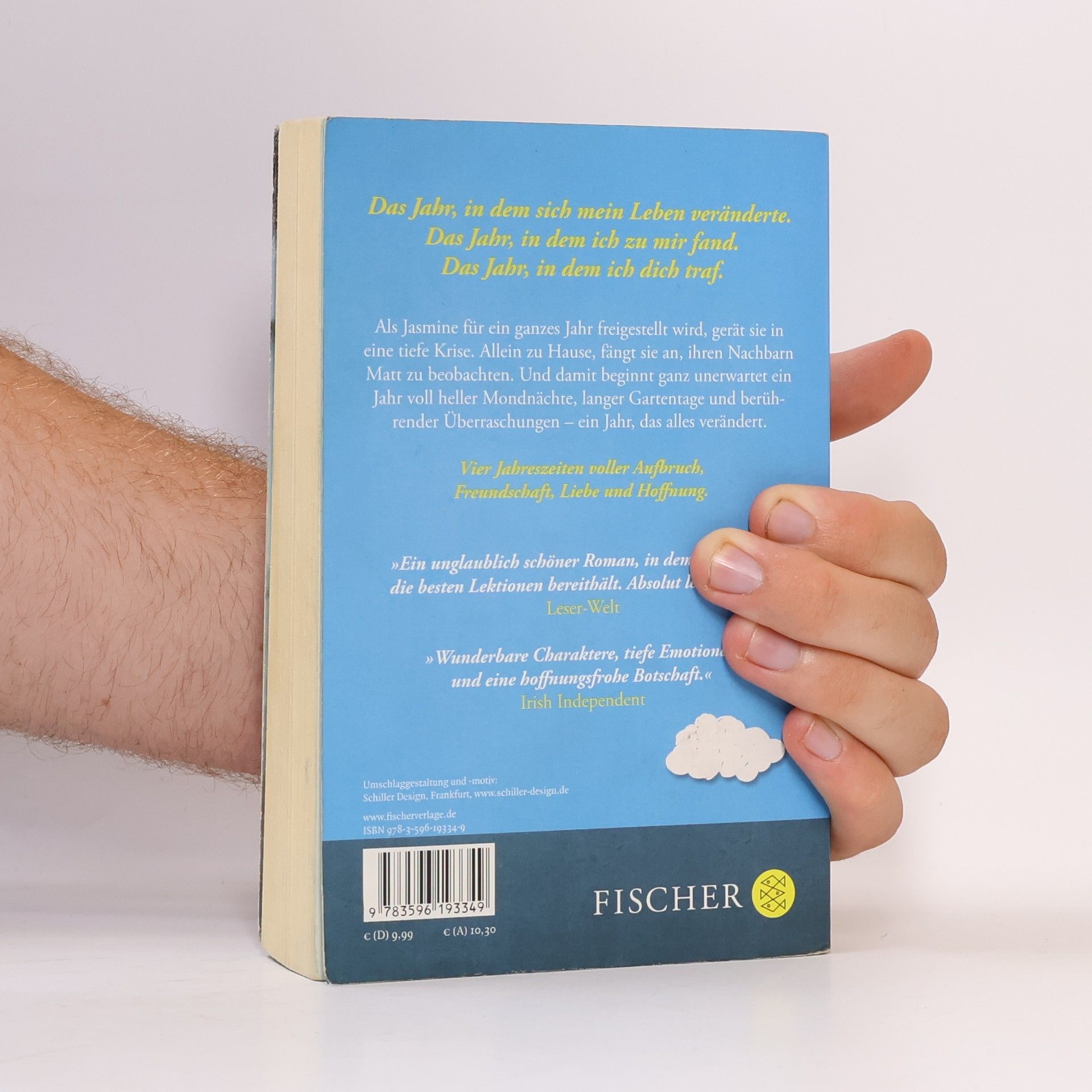Cecelia Ahern Das Jahr, in dem ich dich traf