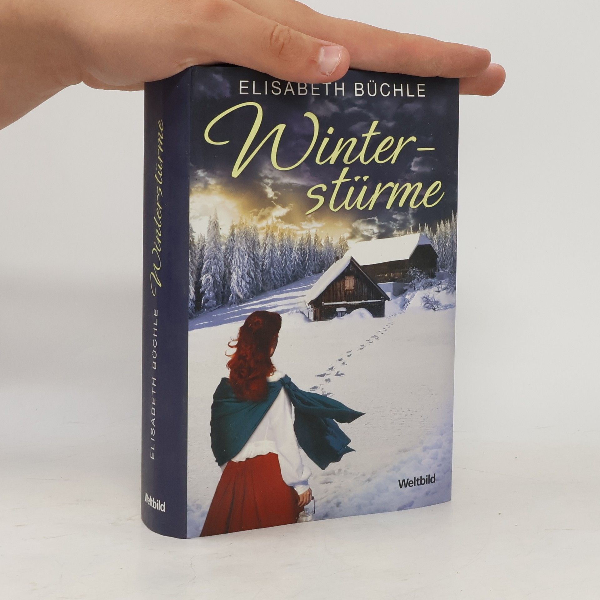 Elisabeth Büchle Winterstürme