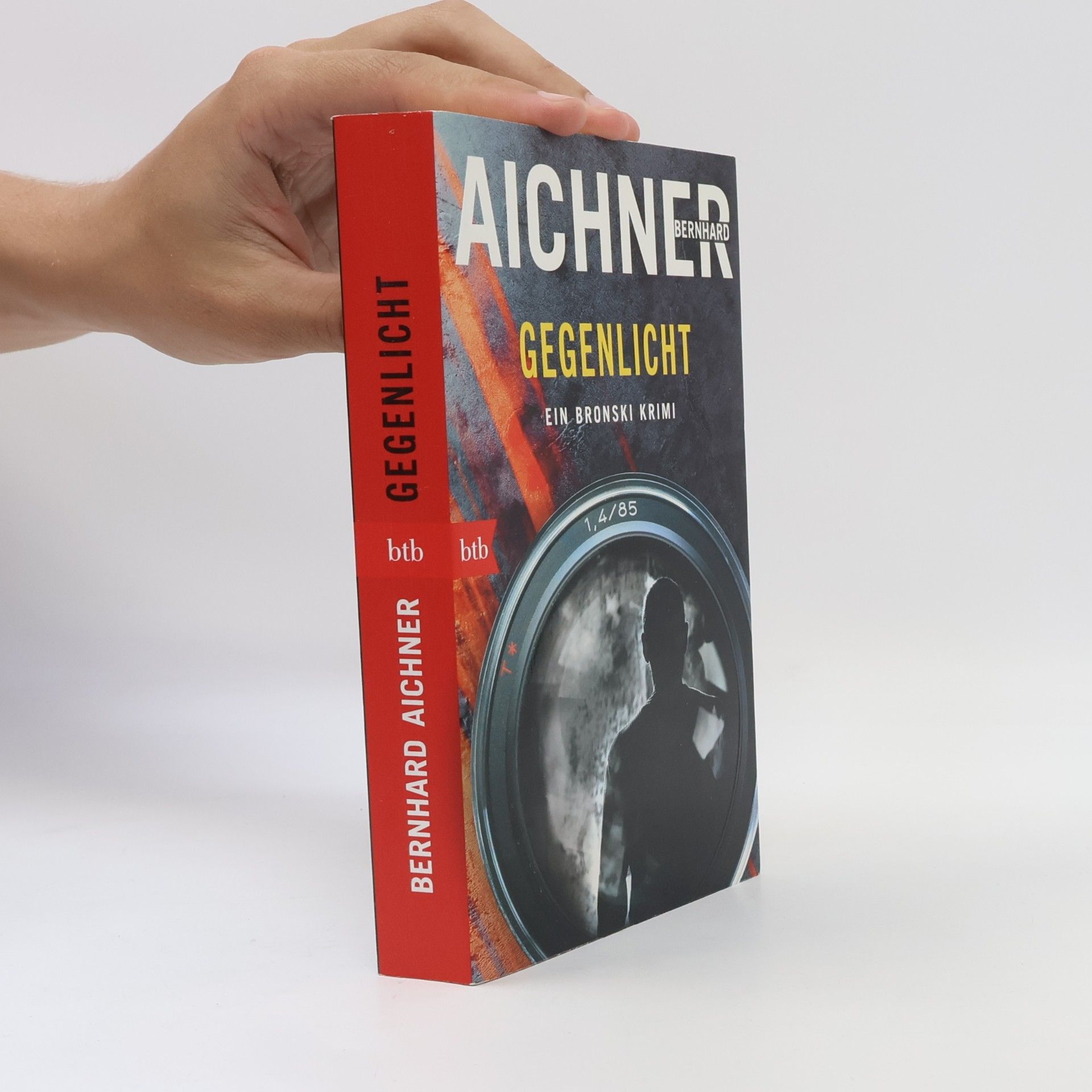 Bernhard Aichner Gegenlicht