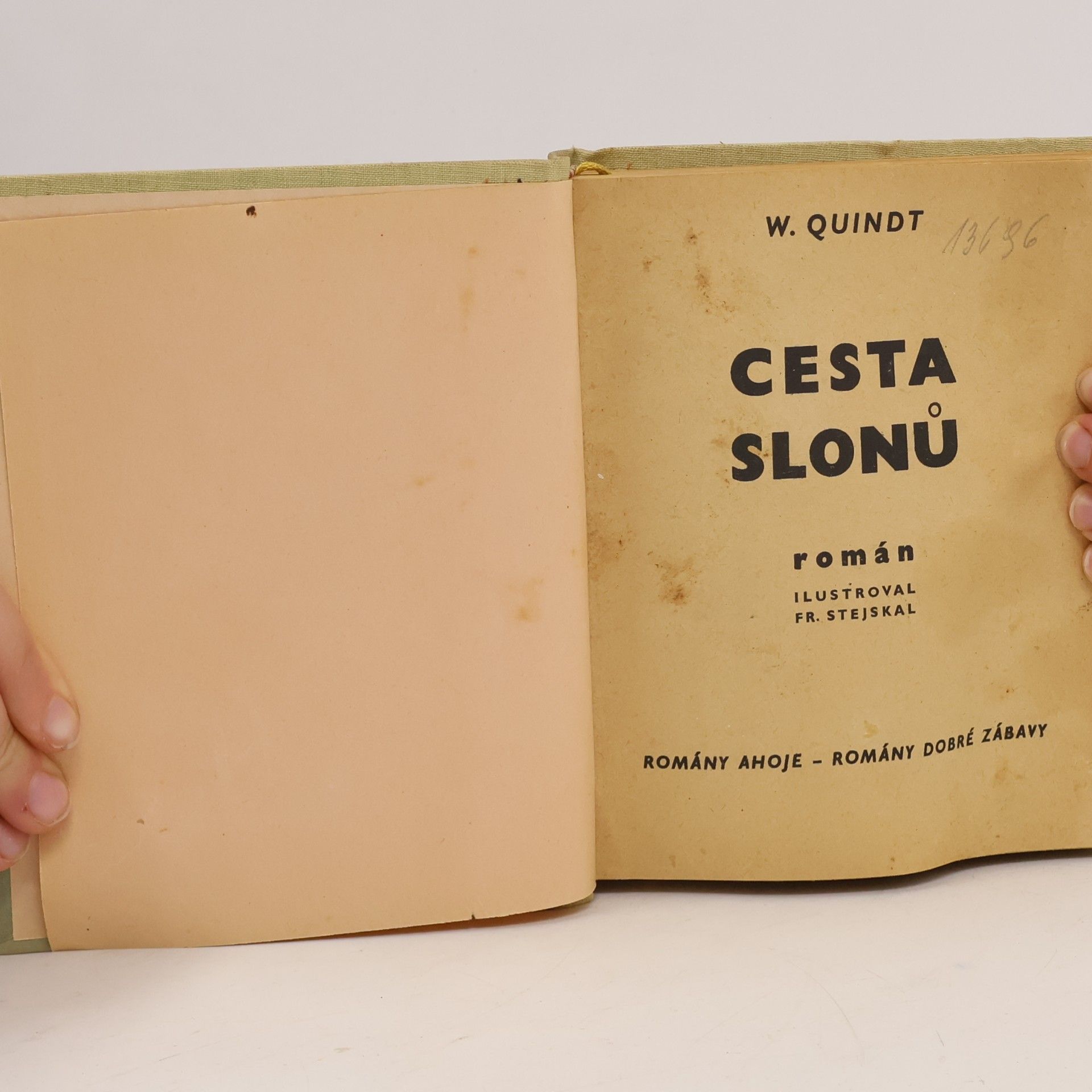 William Quindt Cesta slonů