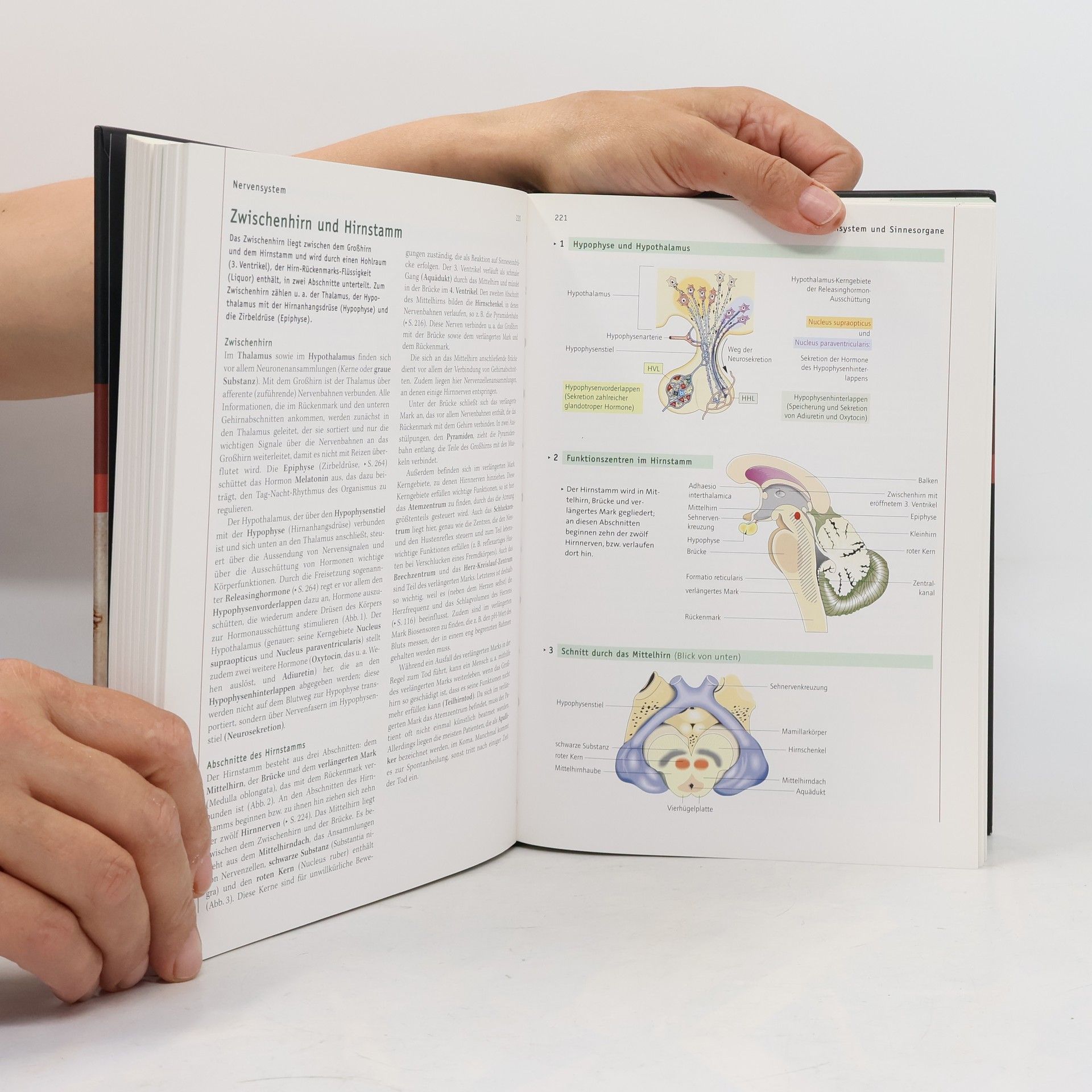 Kolektiv autorů GEO Themenlexikon 32. Der Mensch