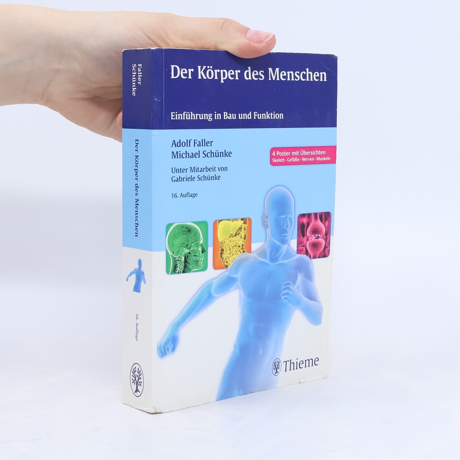 Adolf Faller Der Körper des Menschen