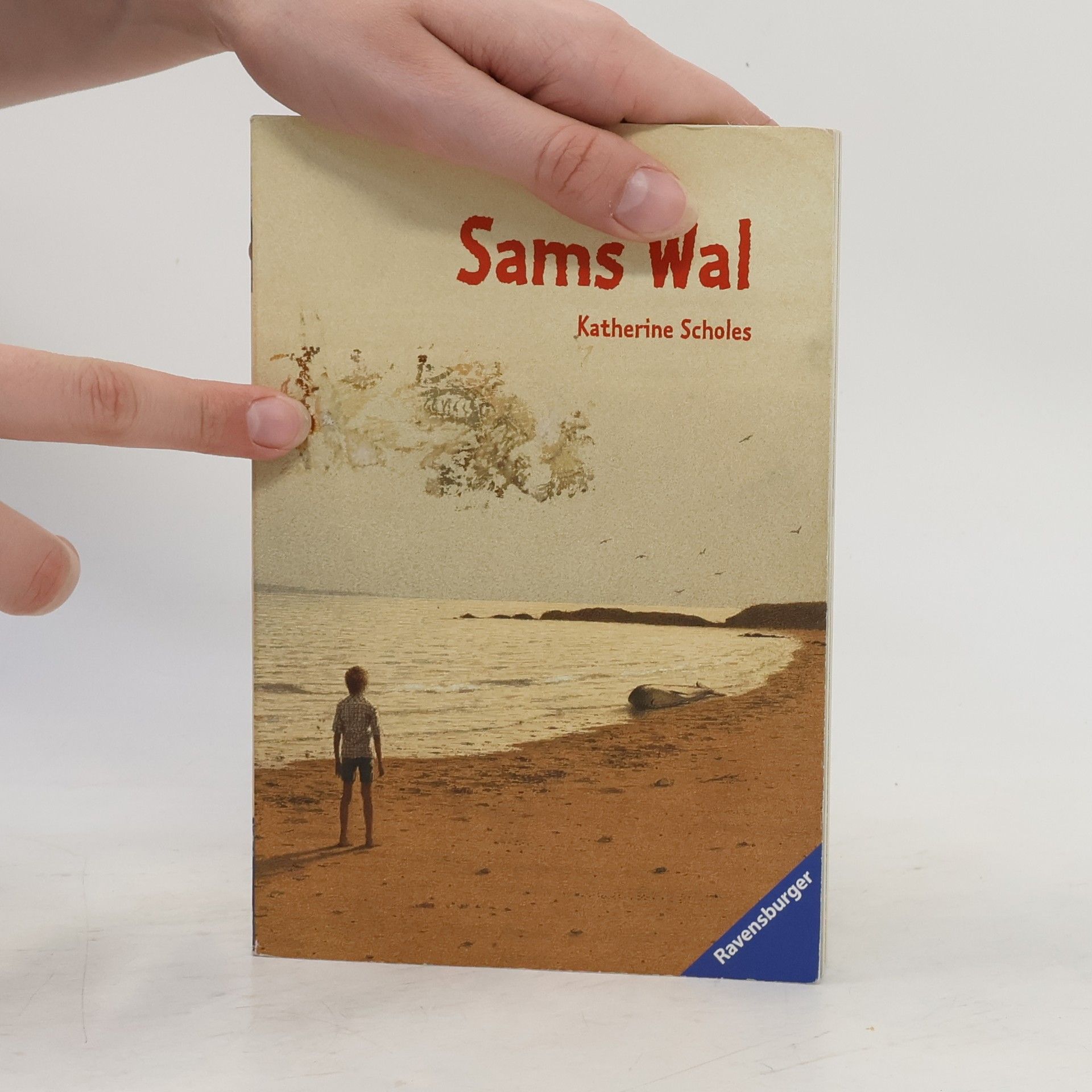 Katherine Scholes Sams Wal