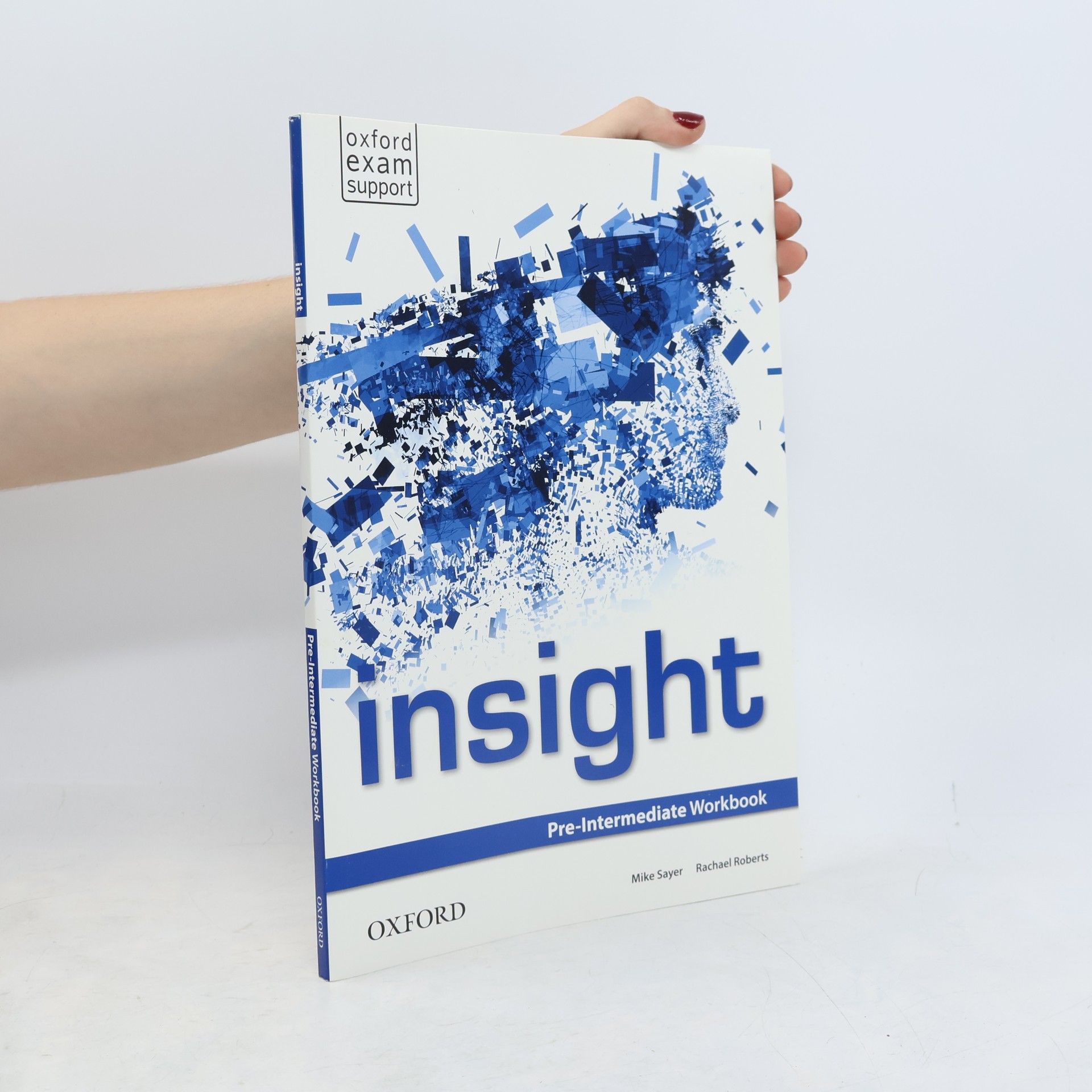 Rachael Roberts Insight : Pre-intermediate Workbook