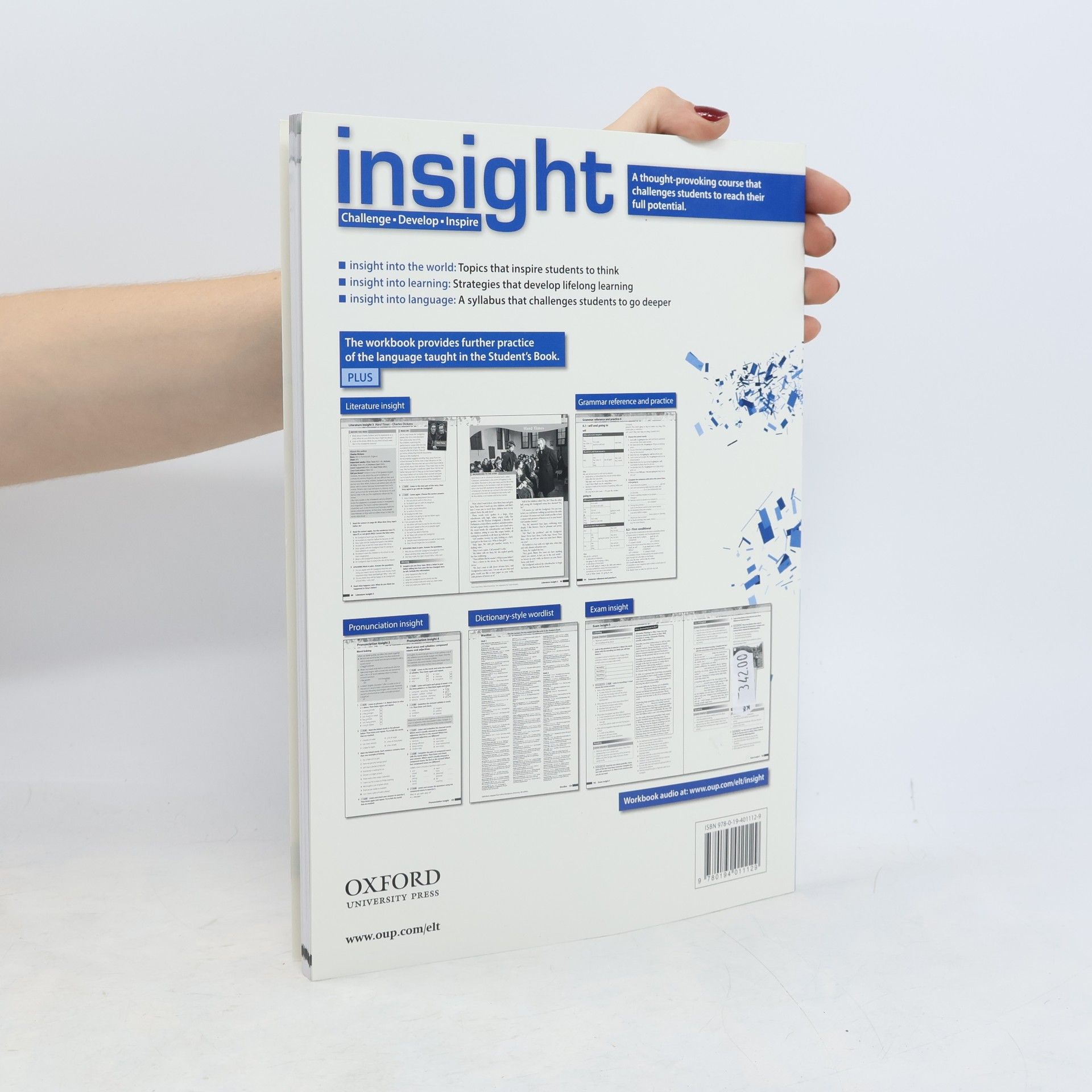 Mike Sayer Insight : Pre-intermediate Workbook