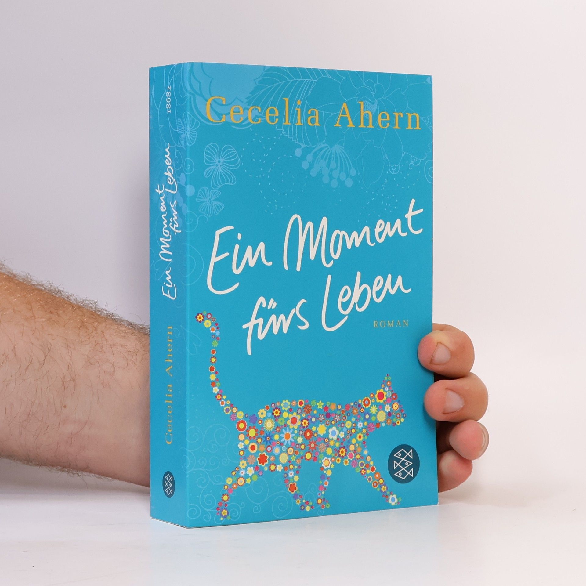 Cecelia Ahern Ein Moment fürs Leben
