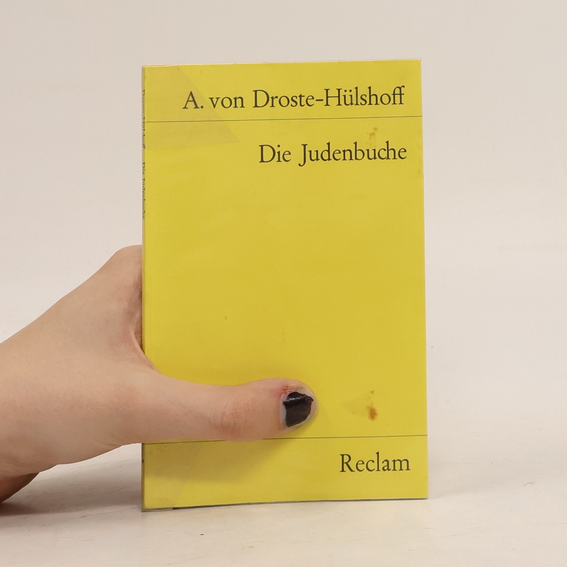 Annette von Droste-Hülshoff Die Judenbuche