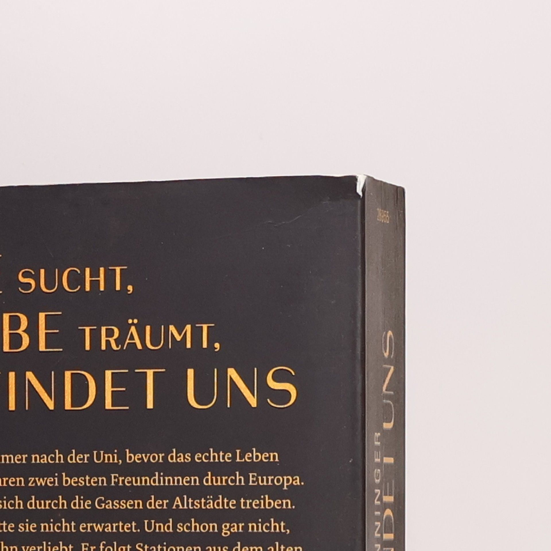 Joe Monninger Liebe findet uns