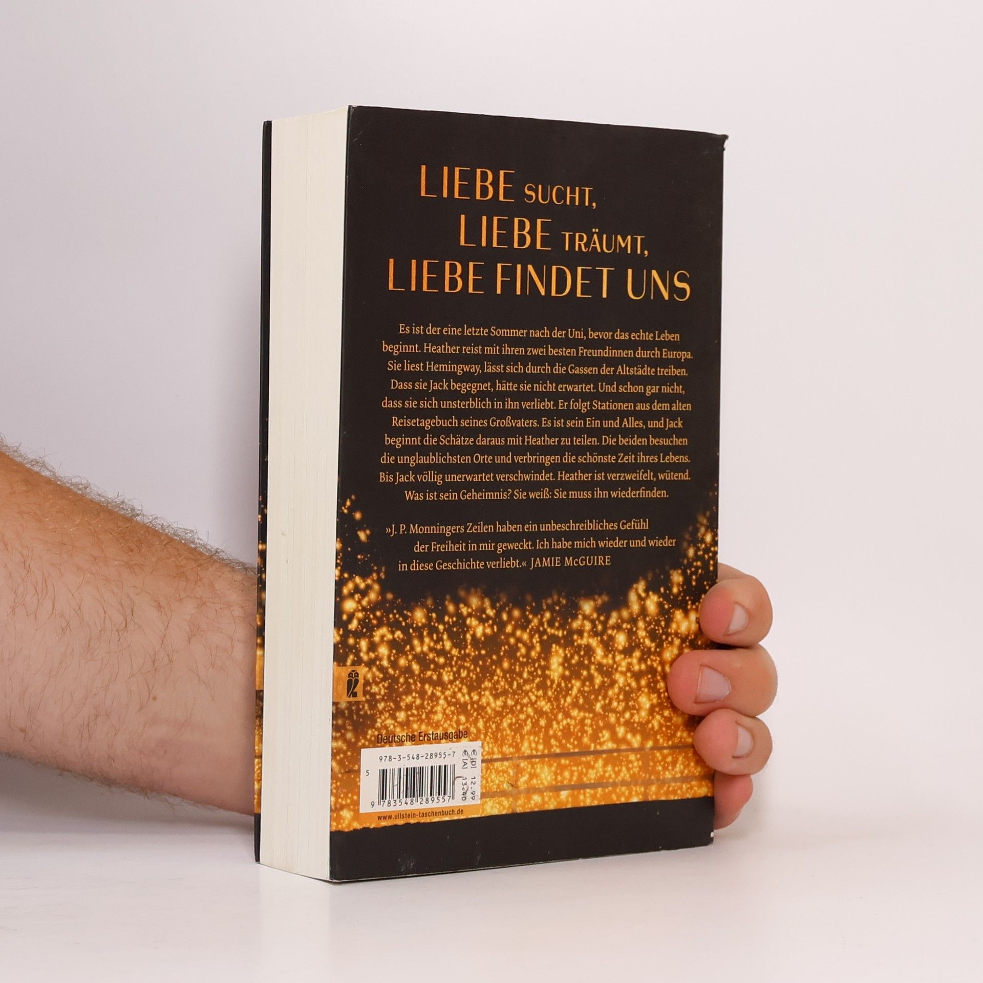 Joe Monninger Liebe findet uns