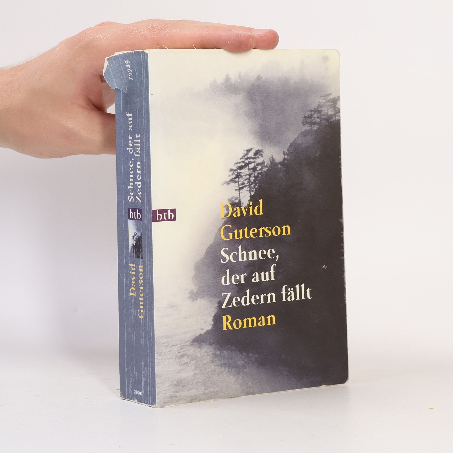 David Guterson Schnee, der auf Zedern fällt