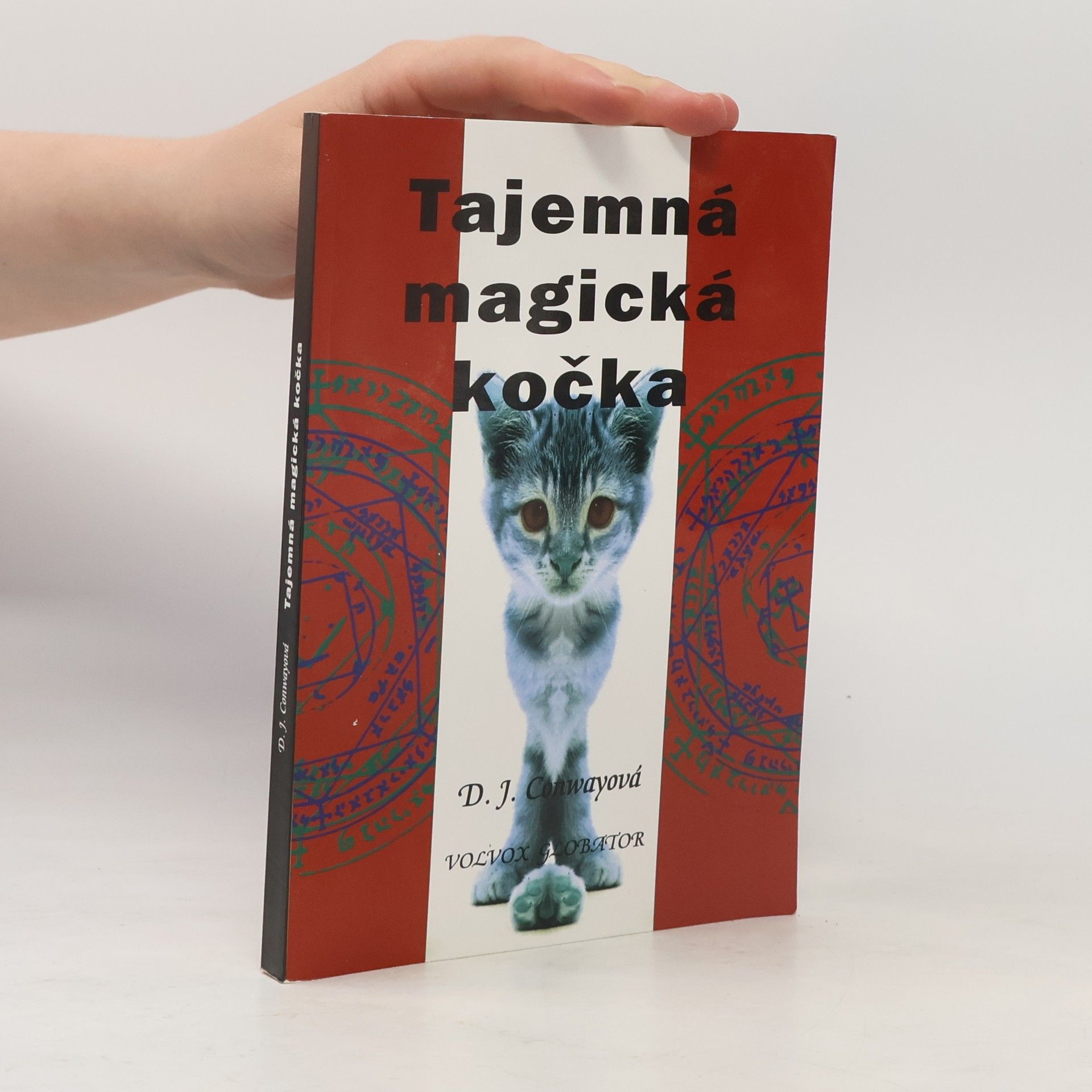 Deanna J. Conway Tajemná, magická kočka