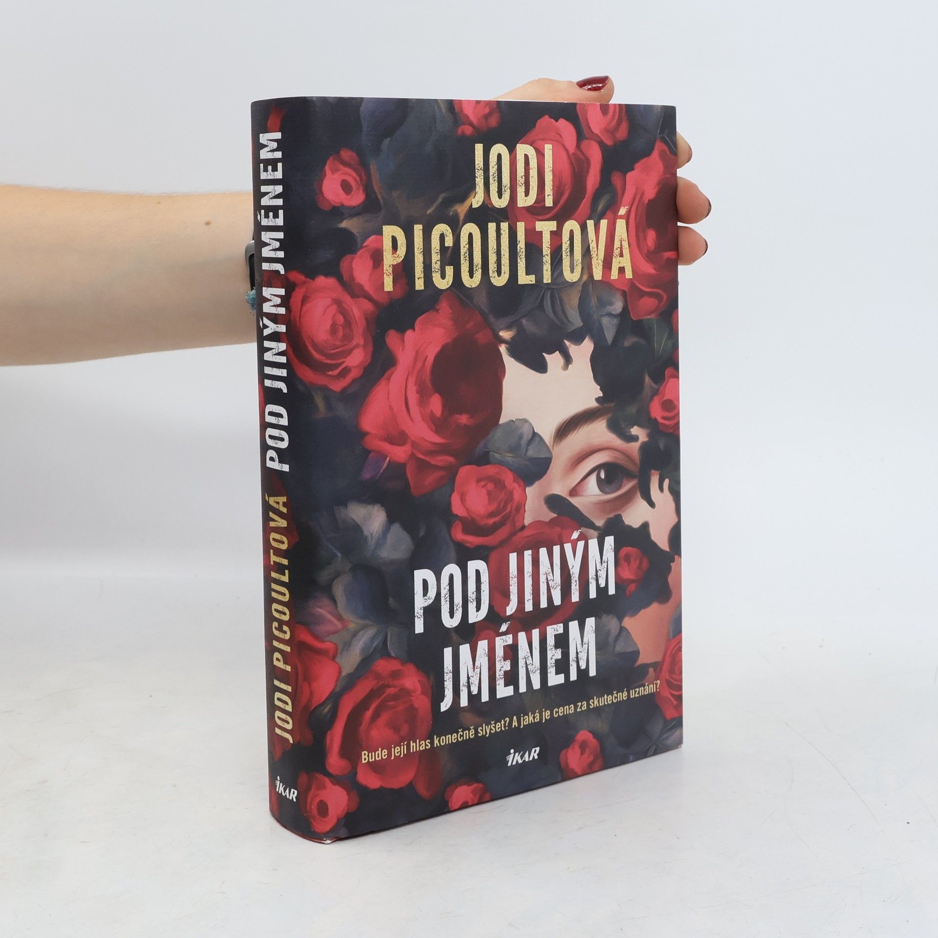 Jodi Picoult Pod jiným jménem