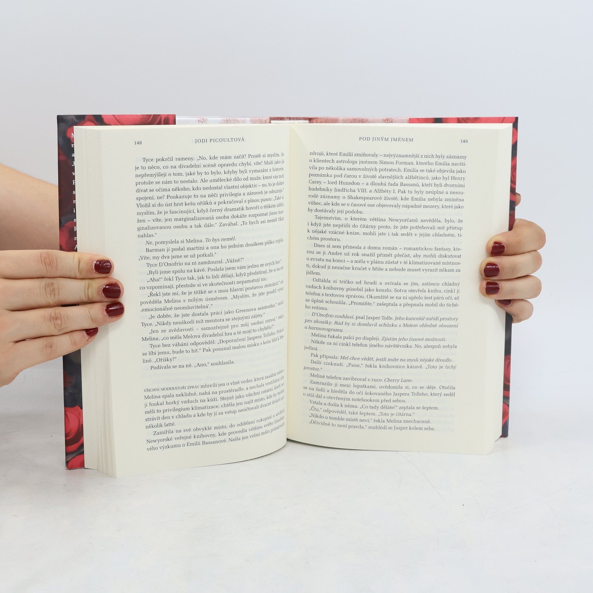 Jodi Picoult Pod jiným jménem