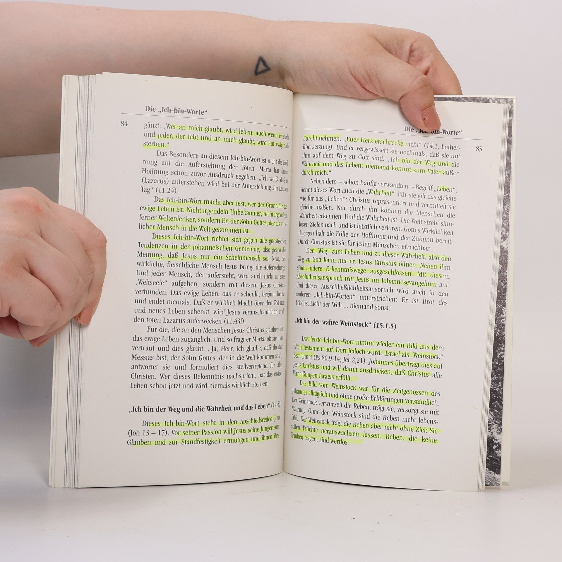Various authors Johannes entdecken