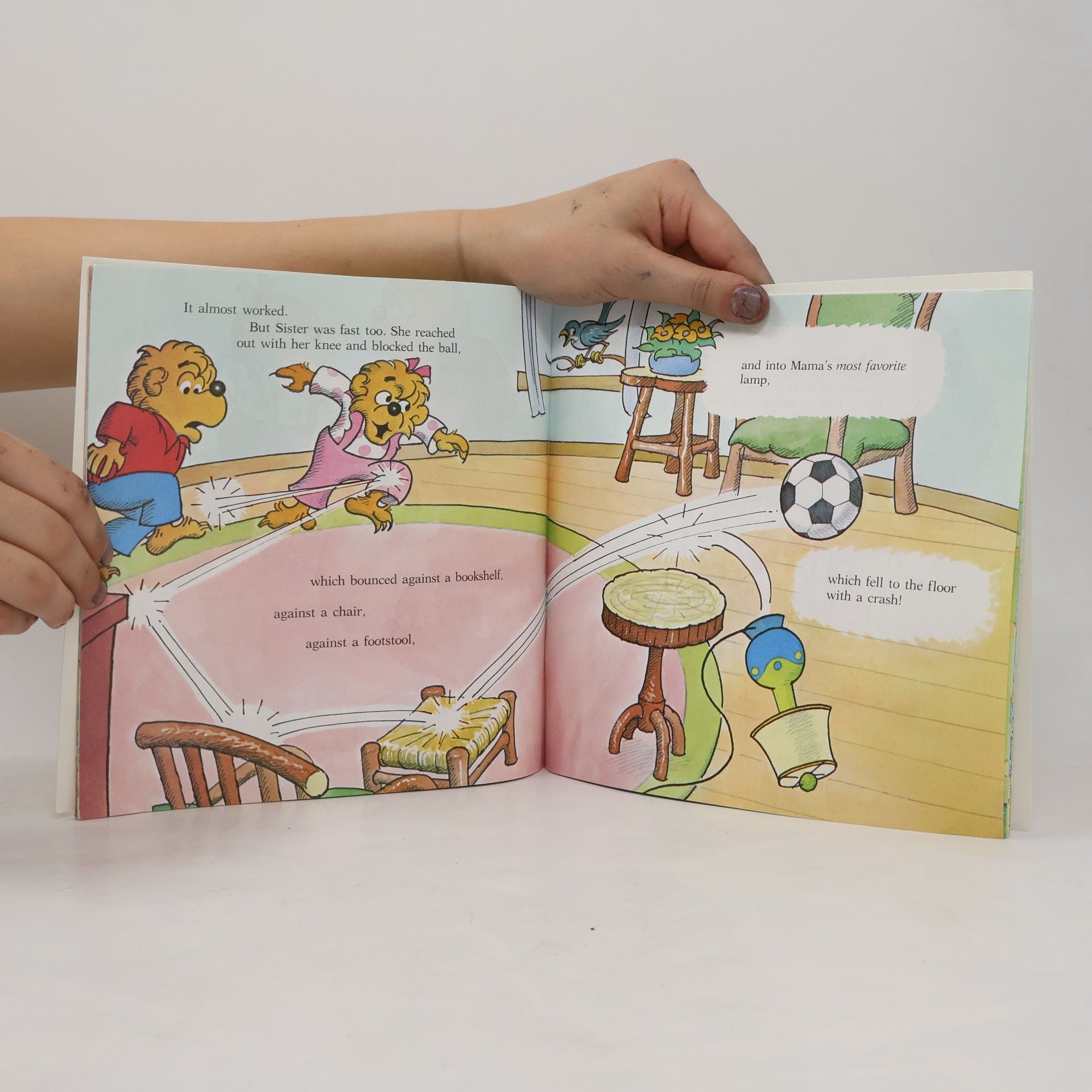 Stan Berenstain Berenstain Bears And The Truth