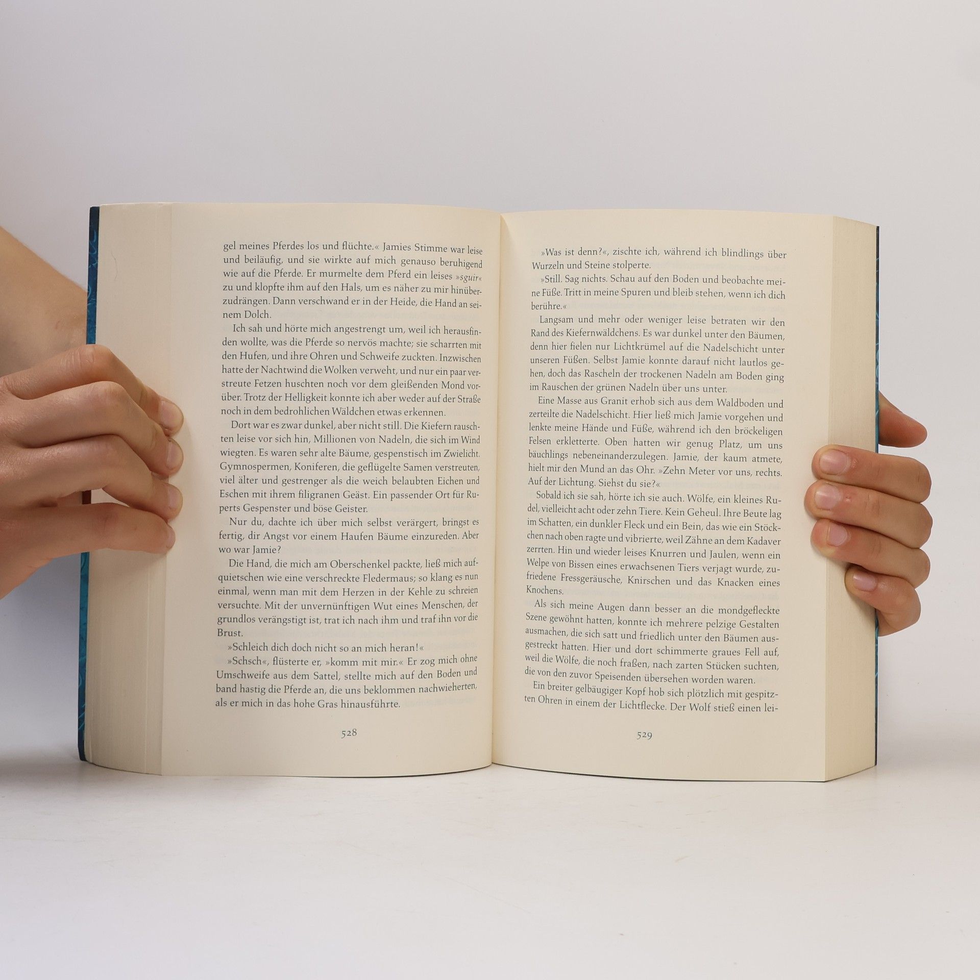 Diana Gabaldon Outlander: Feuer und Stein