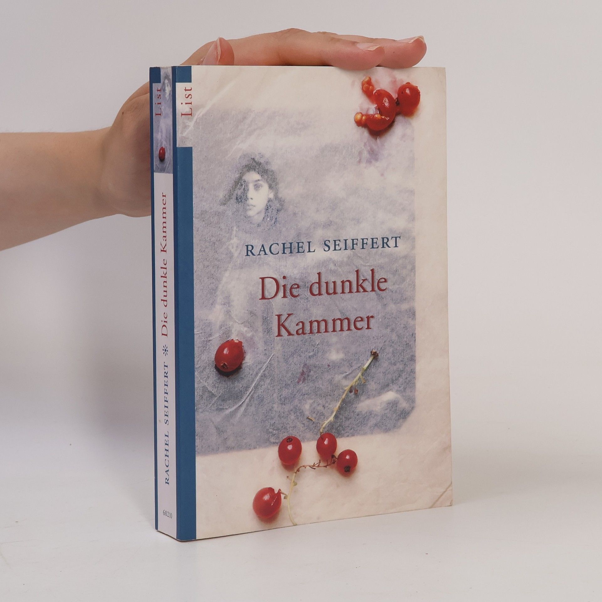 Rachel Seiffert Die dunkle Kammer