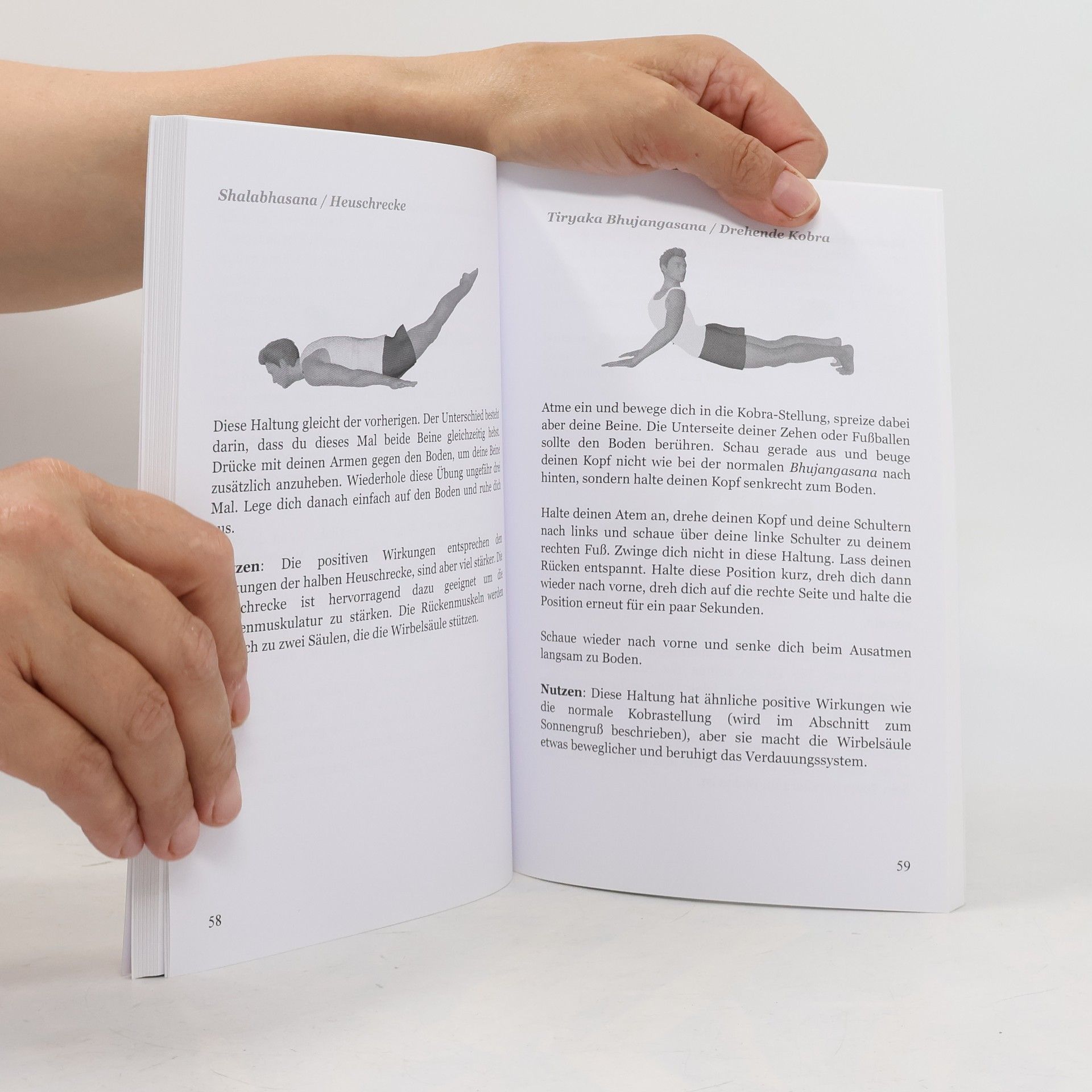 Tai Morello Die Yoga-Bibel für Anfänger