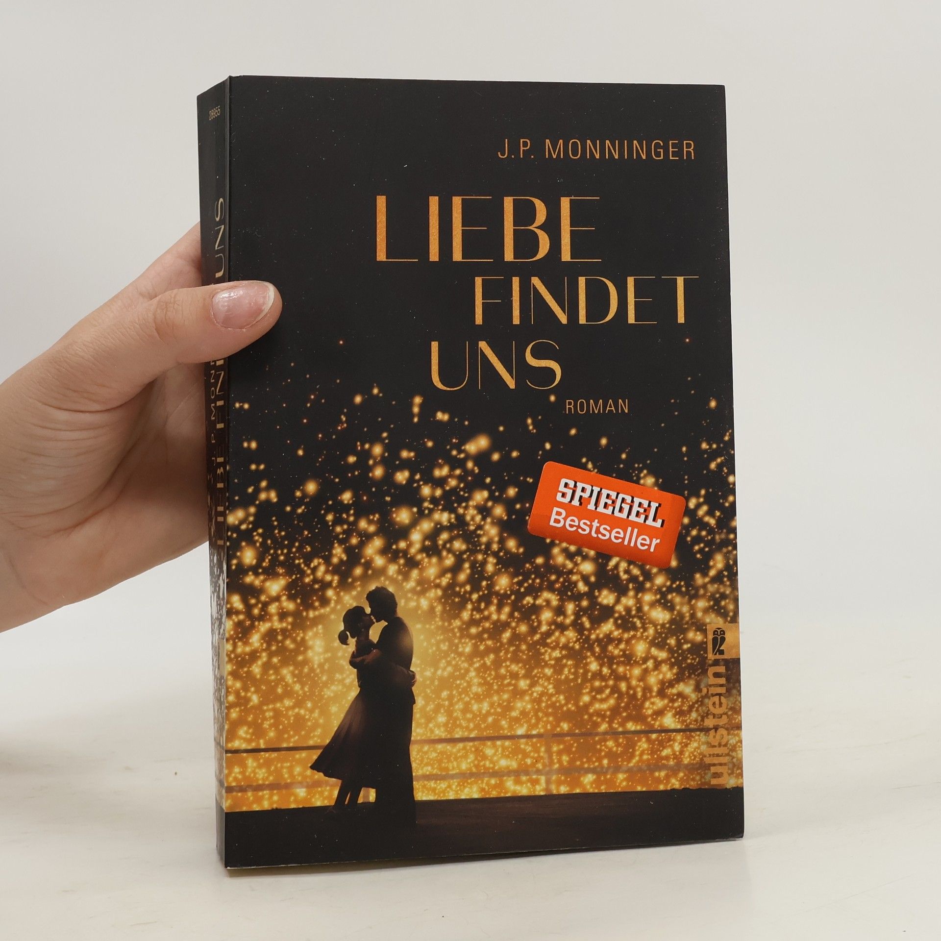 Joe Monninger Liebe findet uns