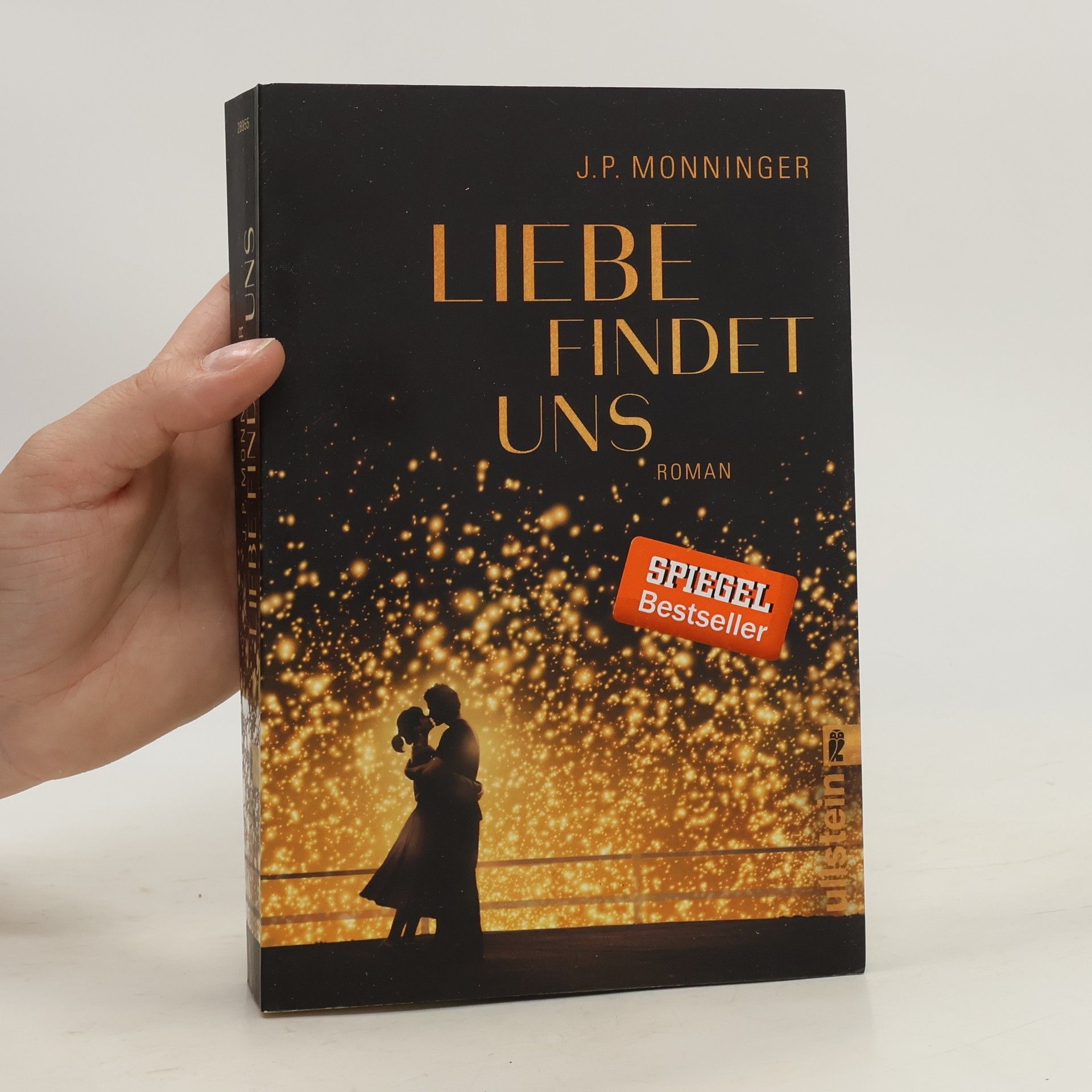 Joe Monninger Liebe findet uns