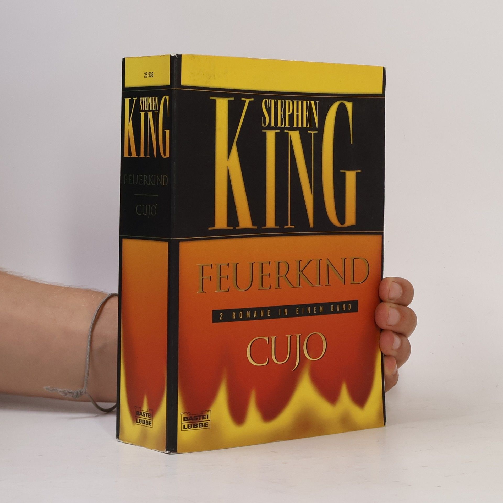 Stephen King Feuerkind. Cujo. Zwei Romane in einem Band