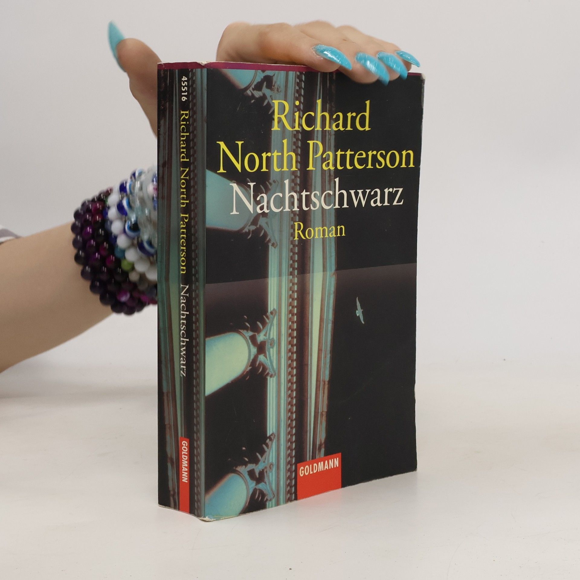 Richard North Patterson Nachtschwarz