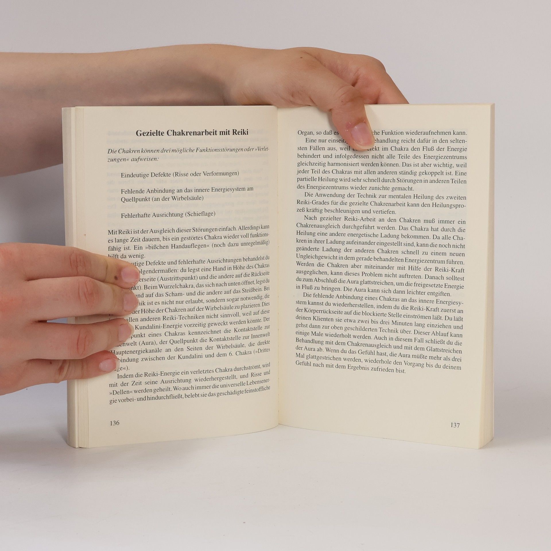 Walter Lübeck Das Reiki Handbuch